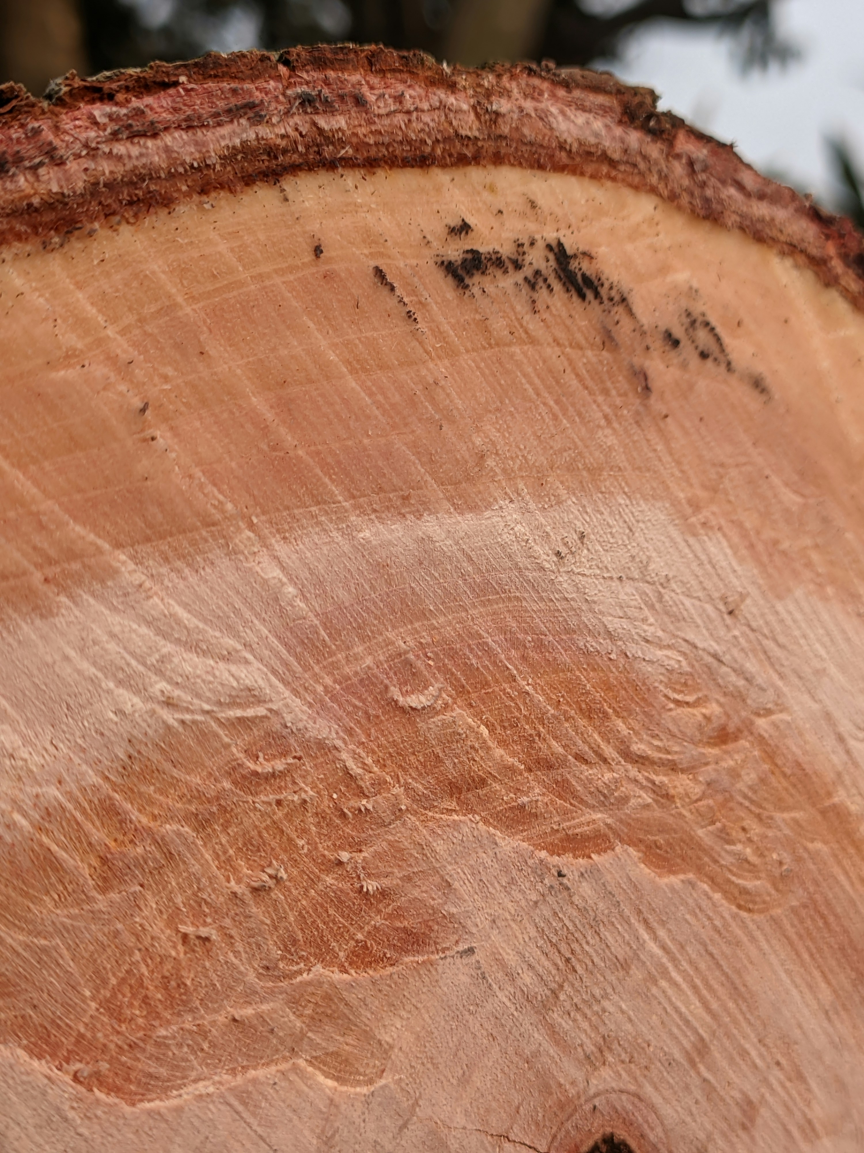 Photo by shotbywoliul