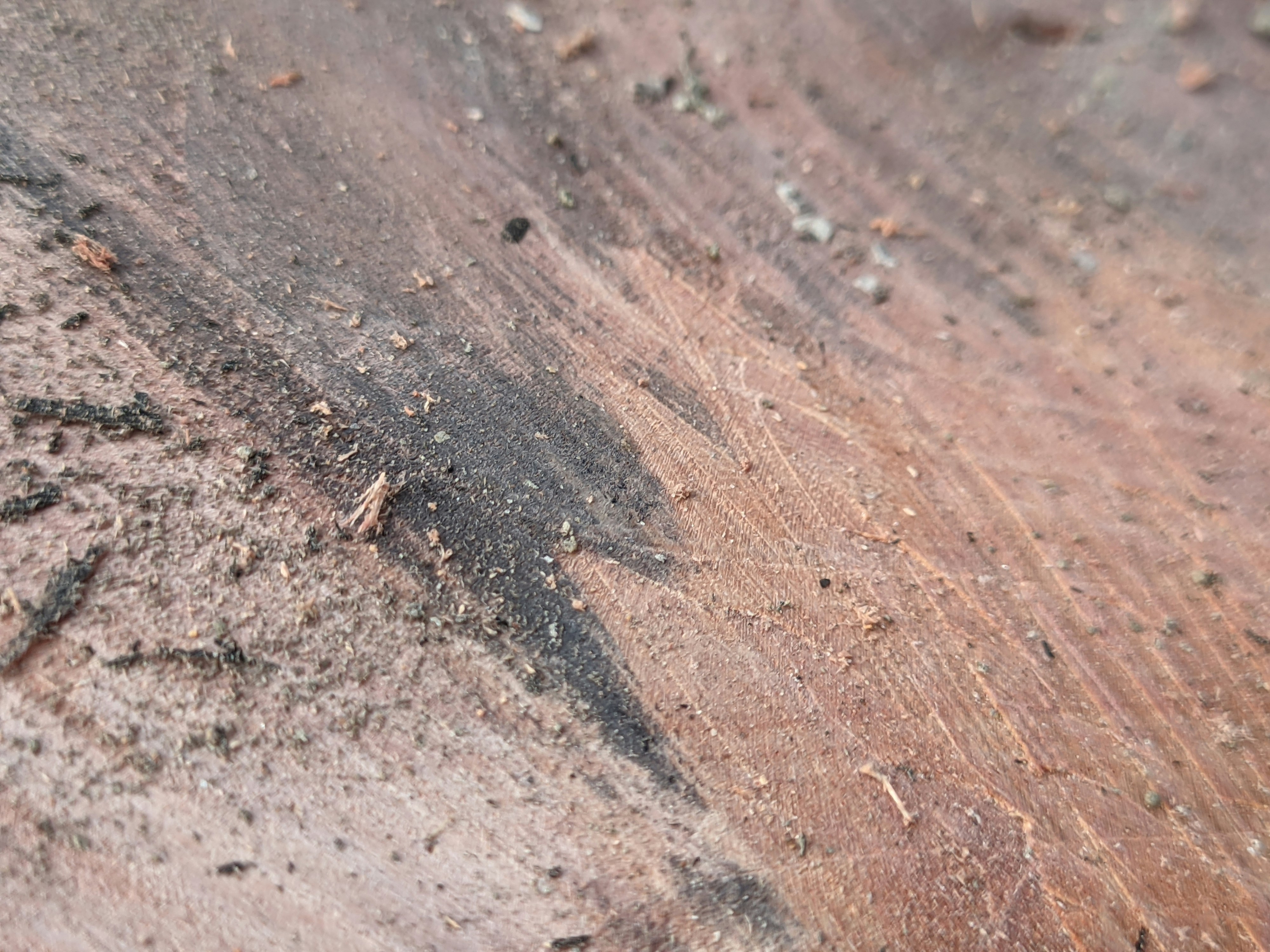 Photo by shotbywoliul