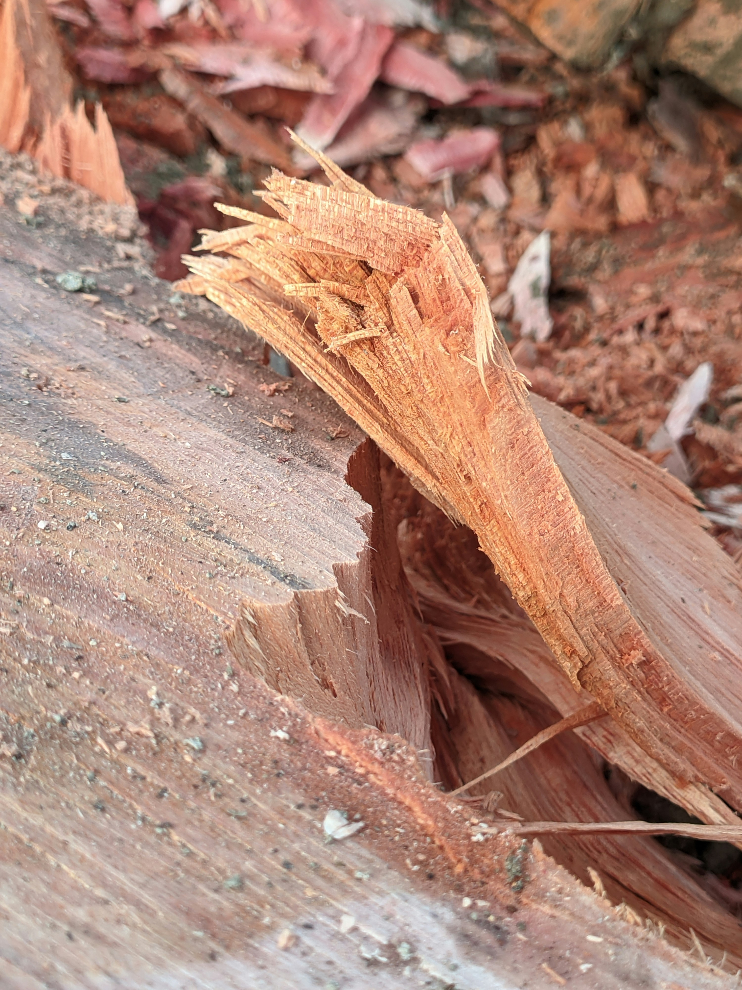 Photo by shotbywoliul