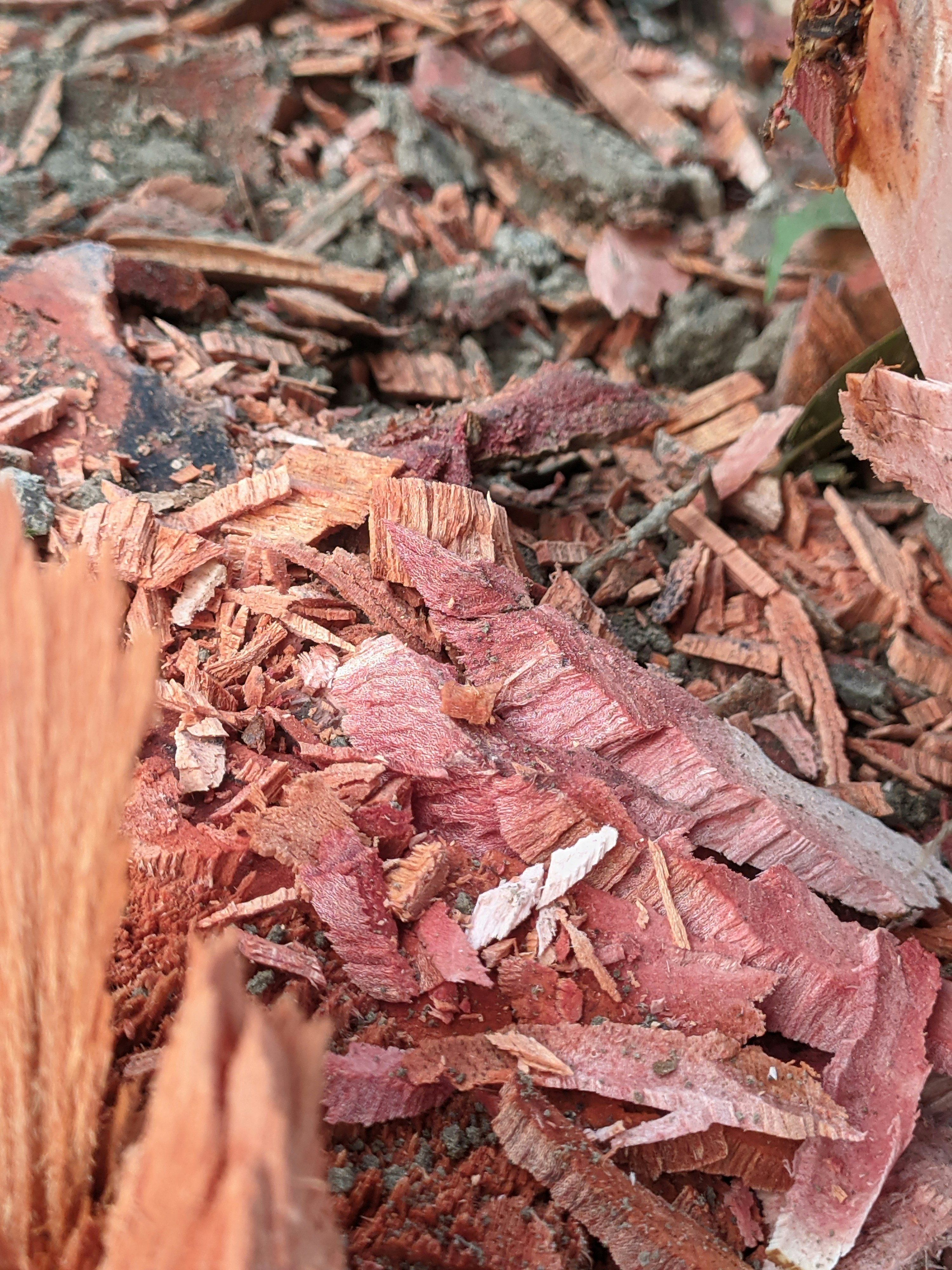 Photo by shotbywoliul