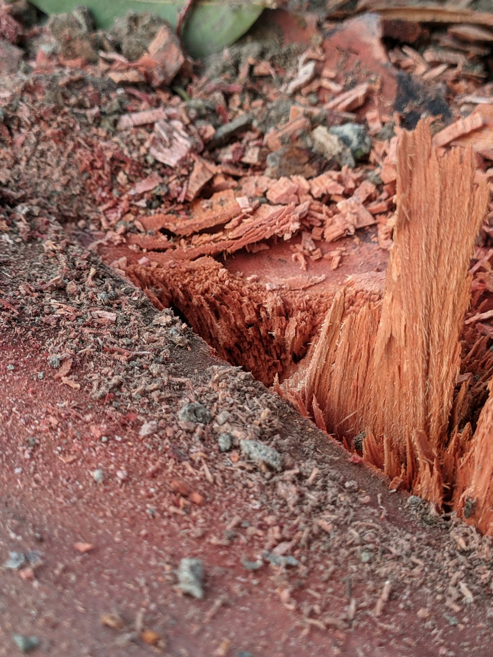 a close up of a dirt road with a tree stump
