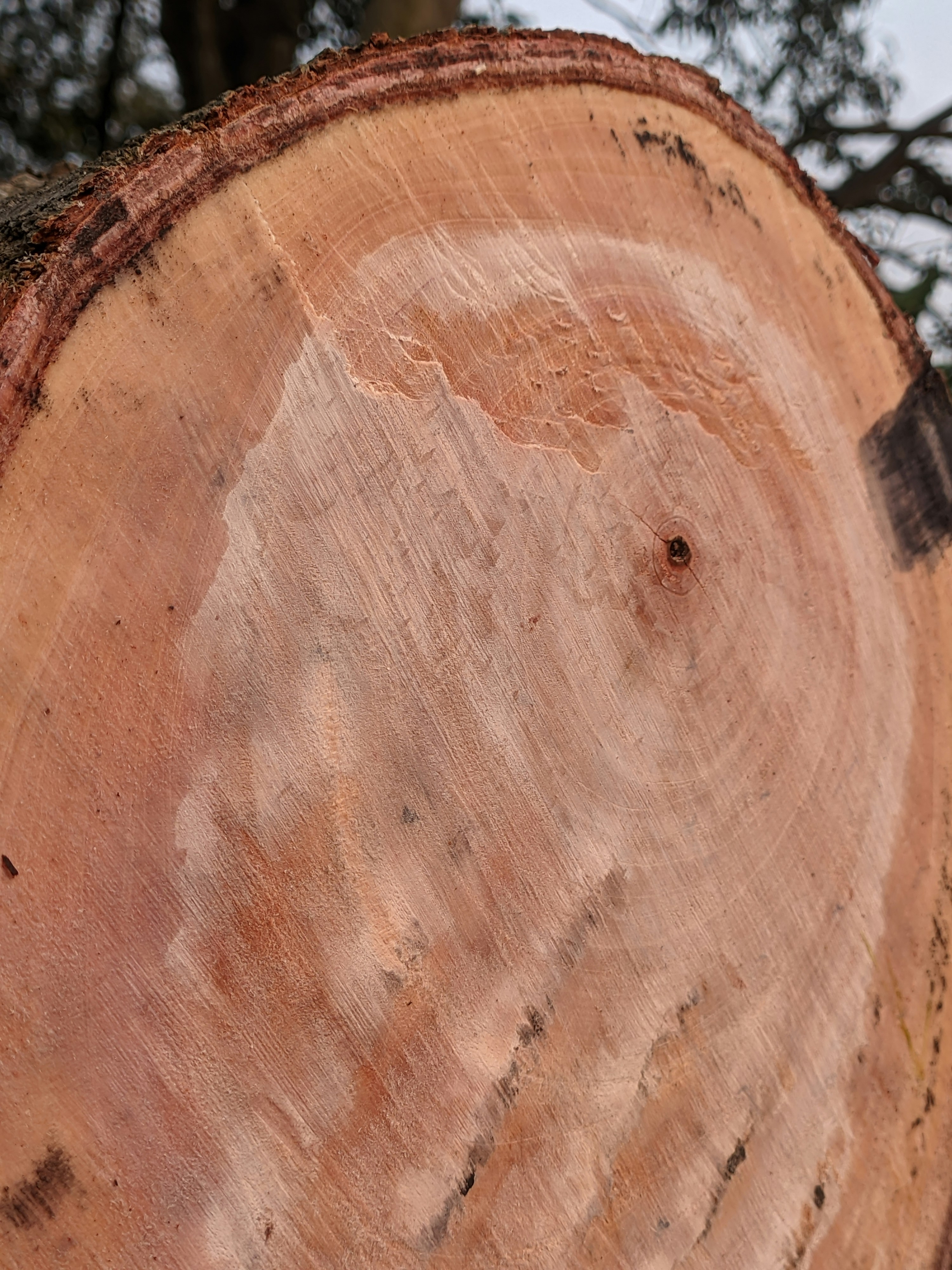 Photo by shotbywoliul