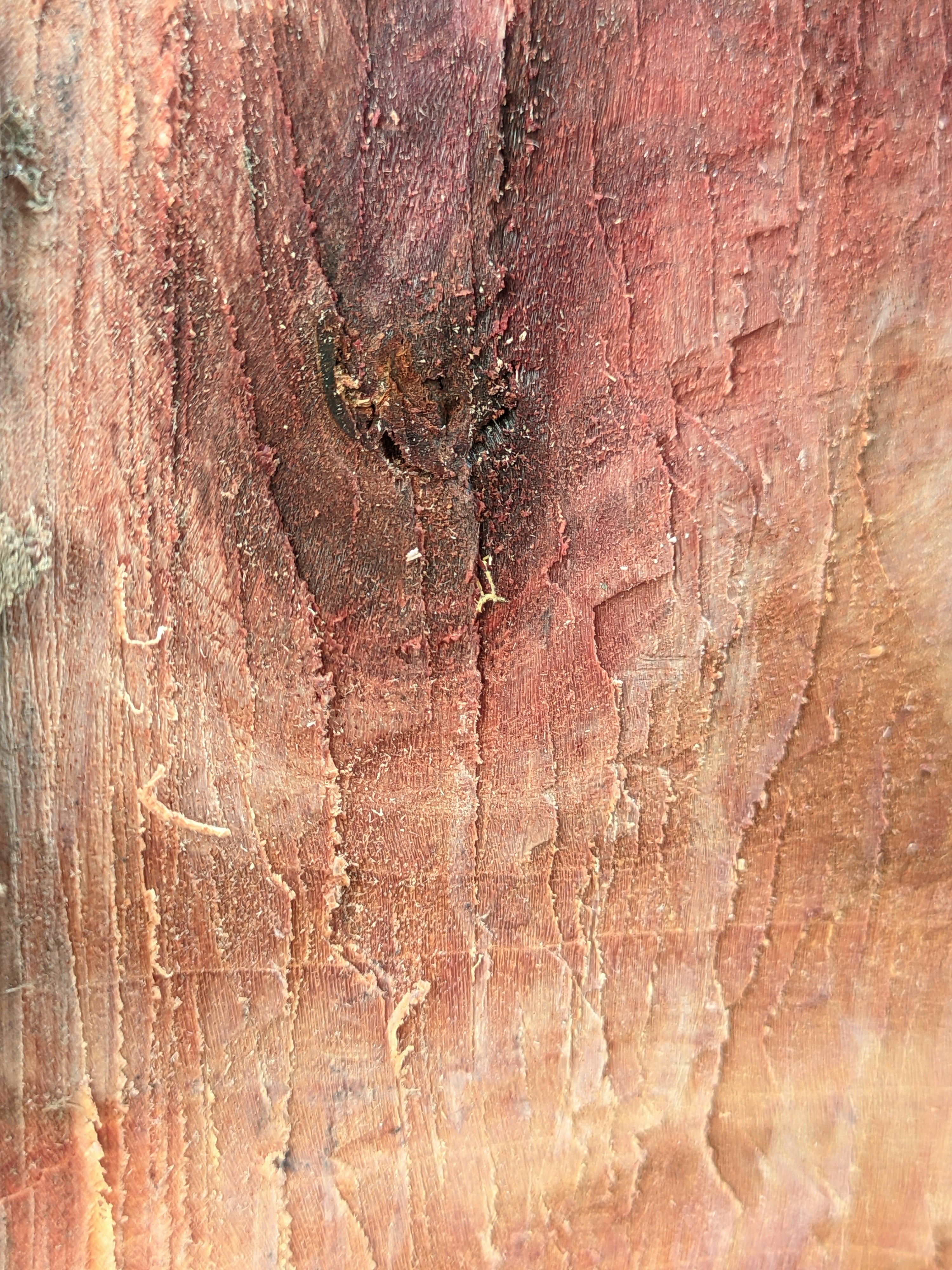 Photo by shotbywoliul