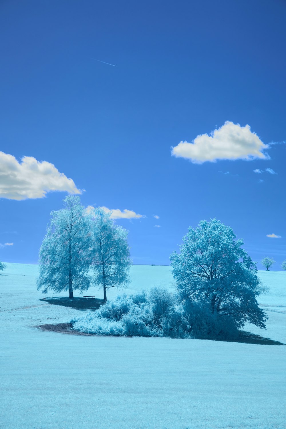 a snowy landscape with trees and clouds in the sky