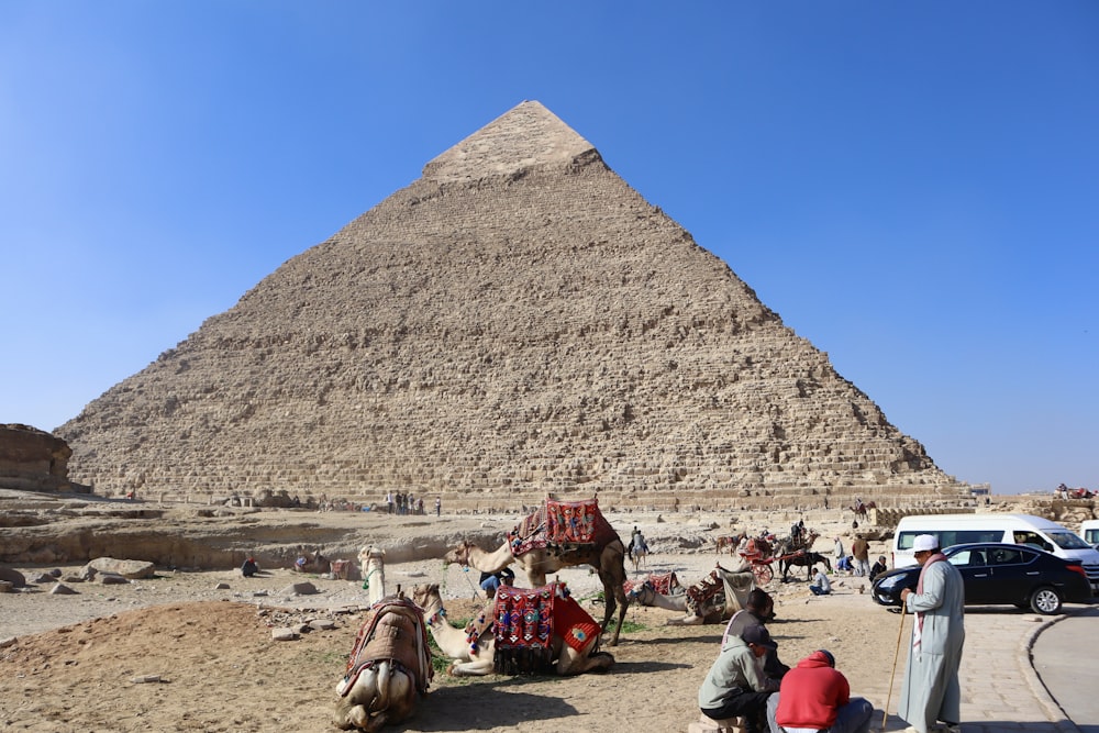 a group of camels sitting in front of a pyramid