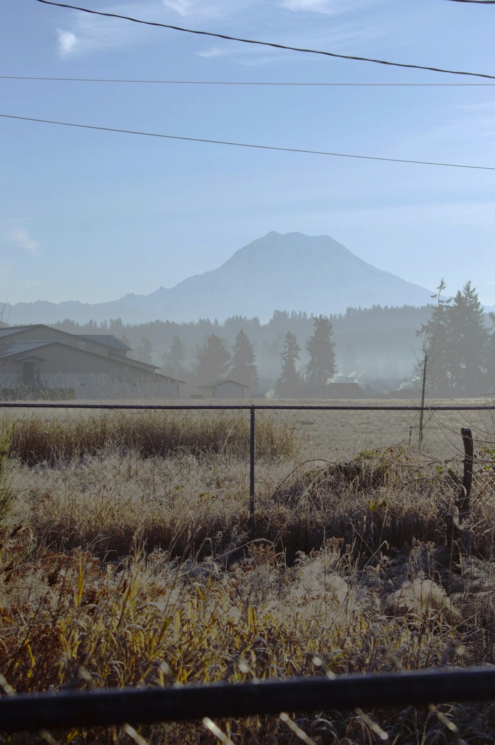 a fence in a field with a mountain in the background