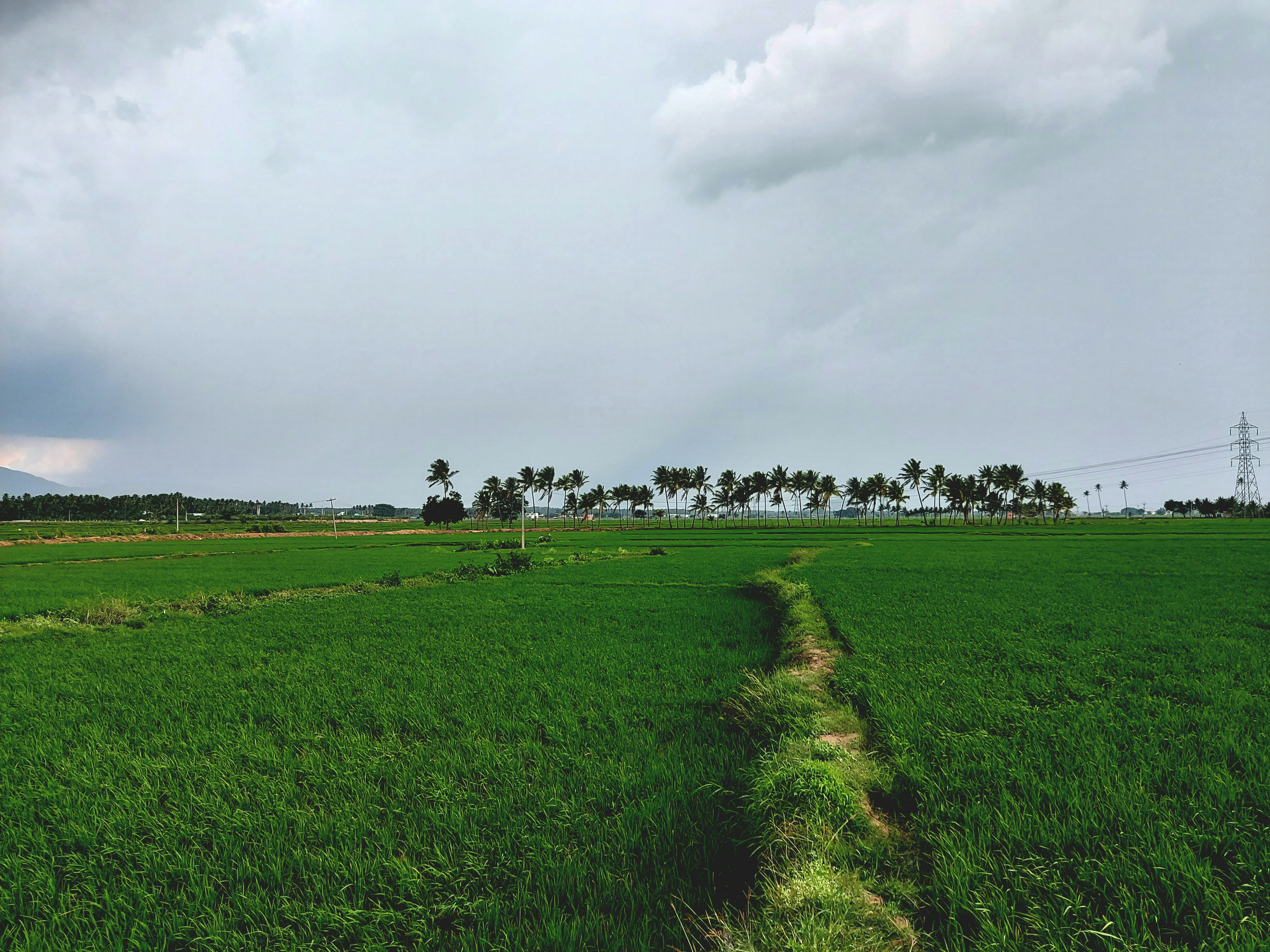 Photo by mohamedshaik