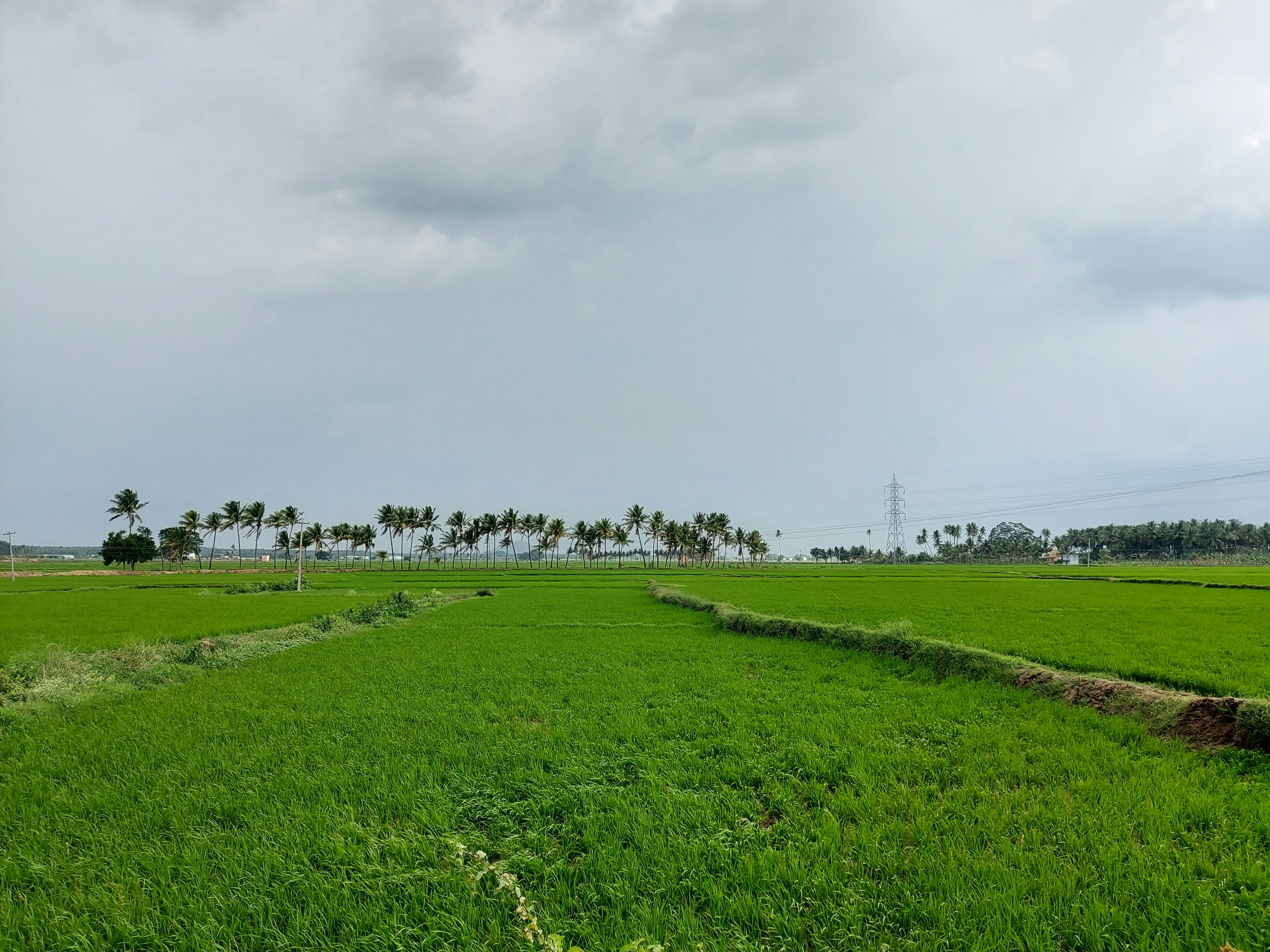 Photo by mohamedshaik