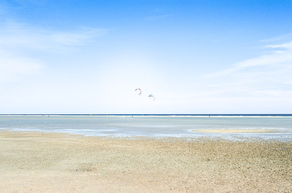 a couple of kites flying over the ocean