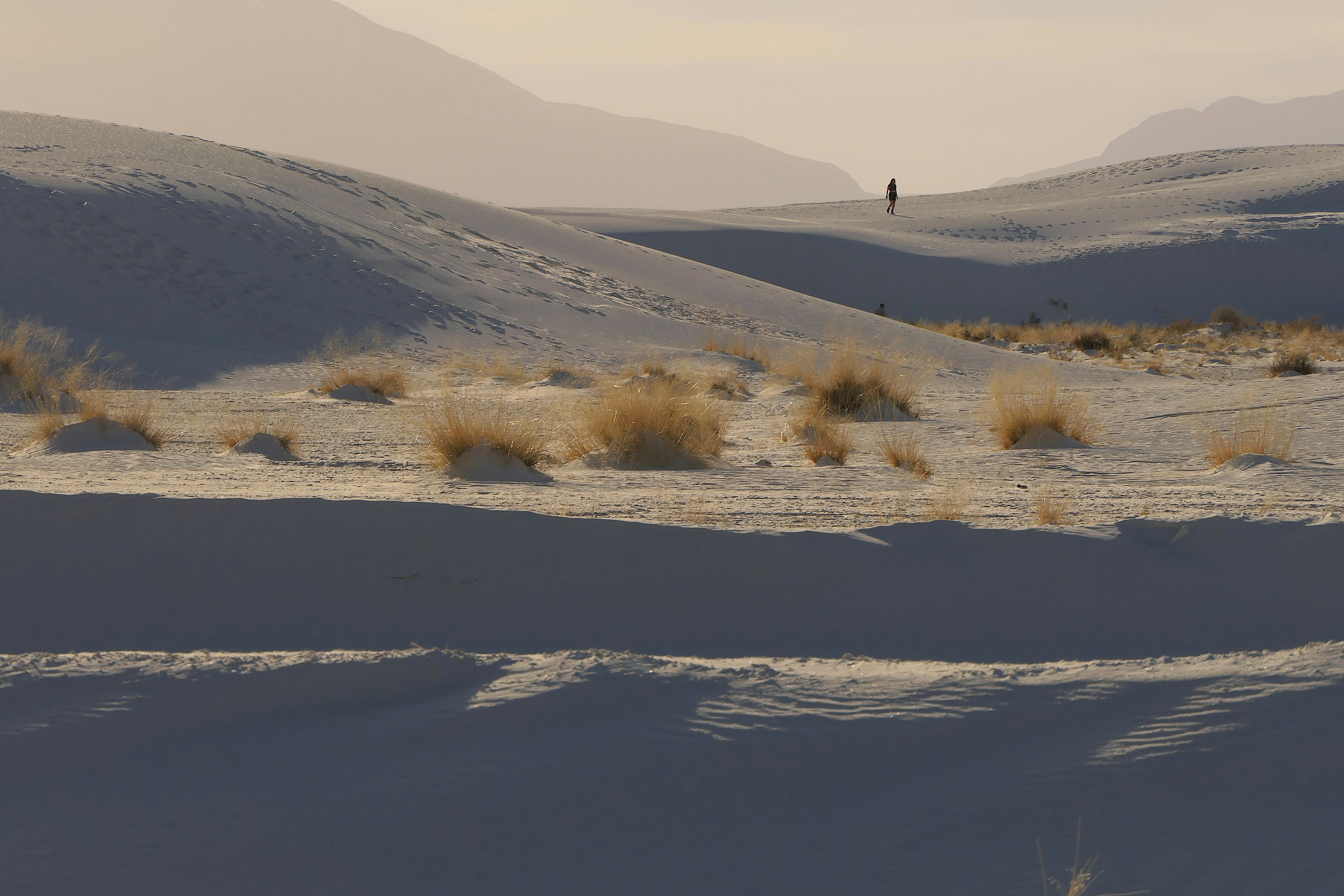 a person standing in the middle of a desert