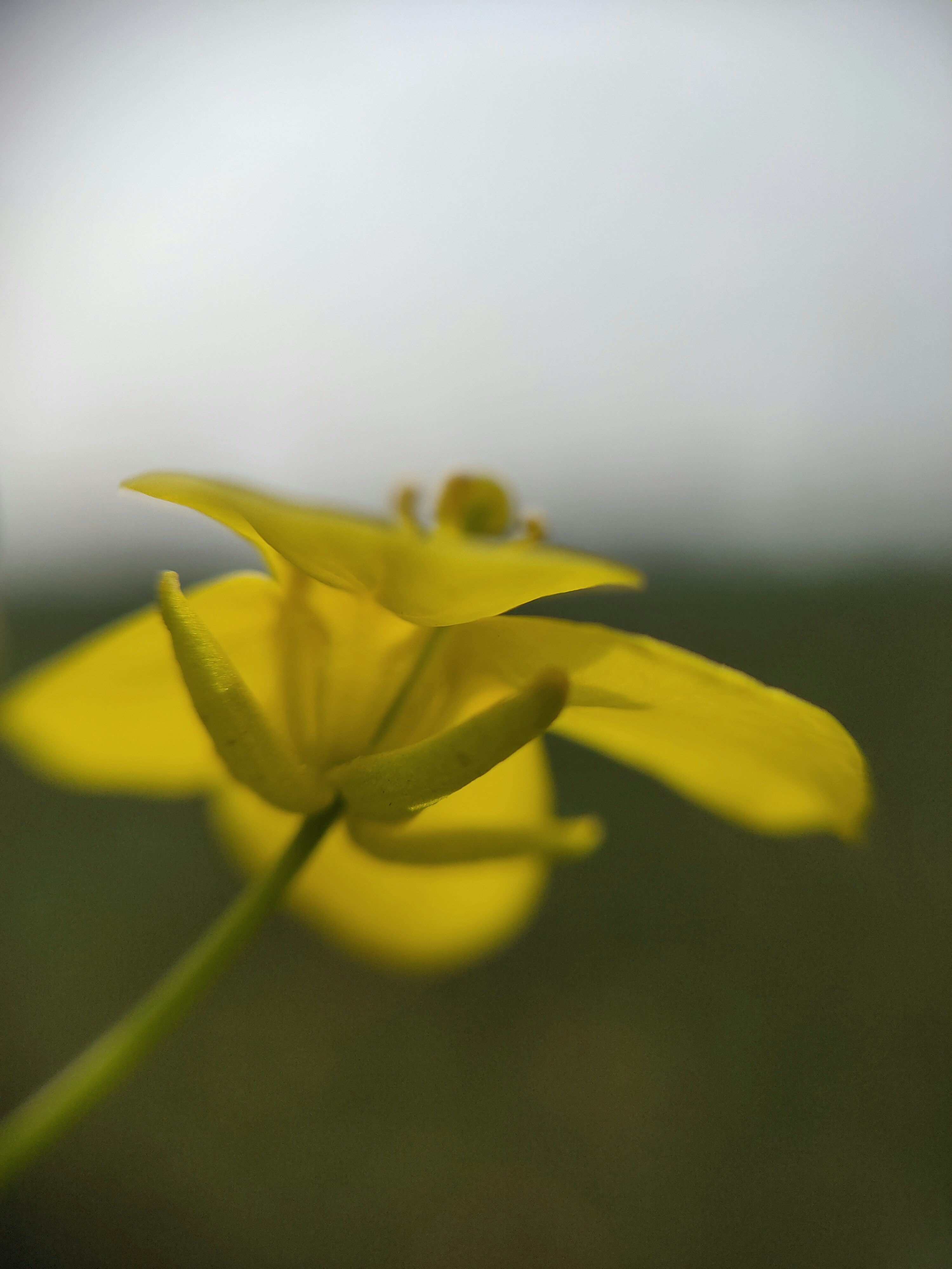 Photo by shotbywoliul