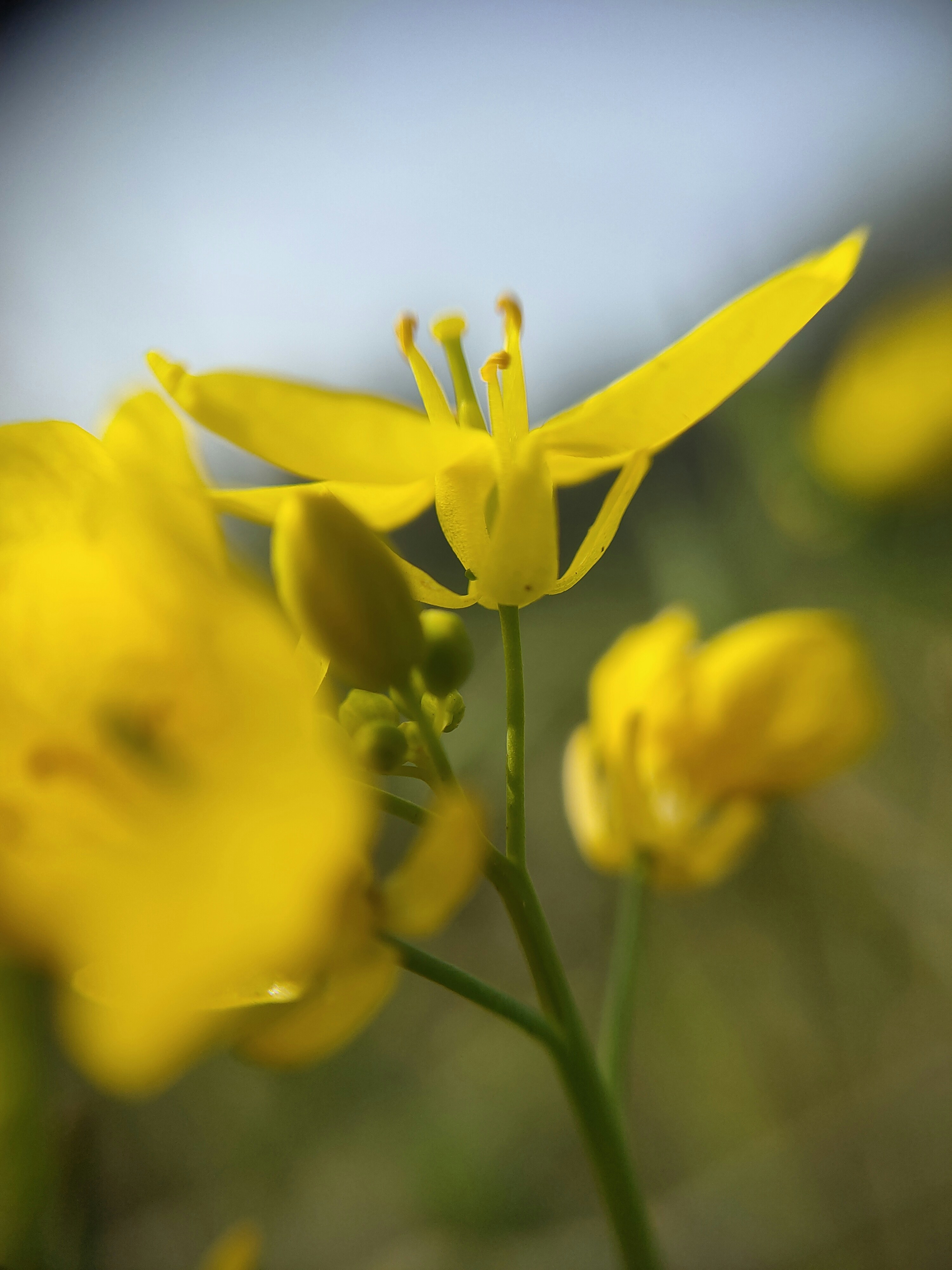 Photo by shotbywoliul