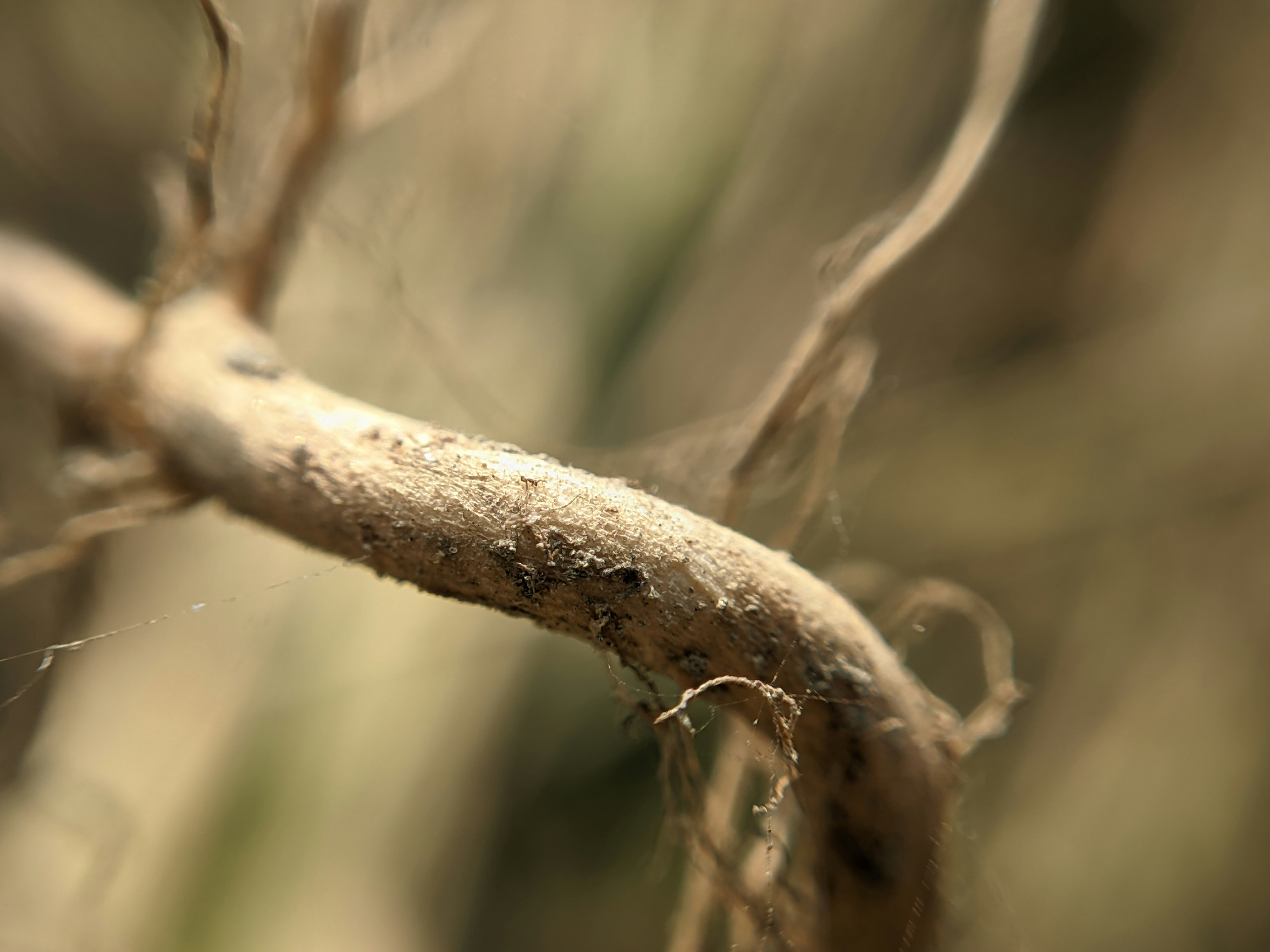 Photo by shotbywoliul