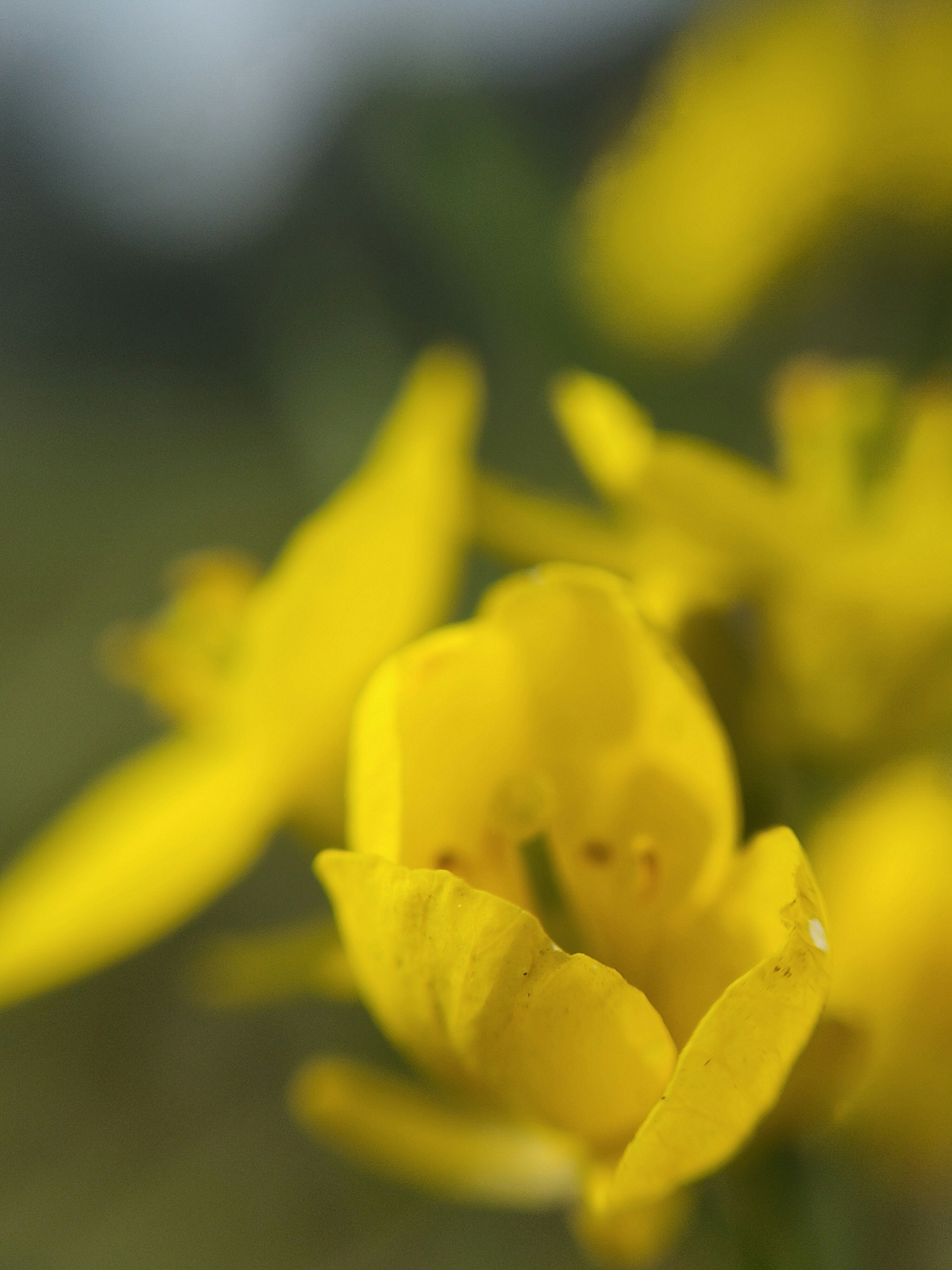 Photo by shotbywoliul