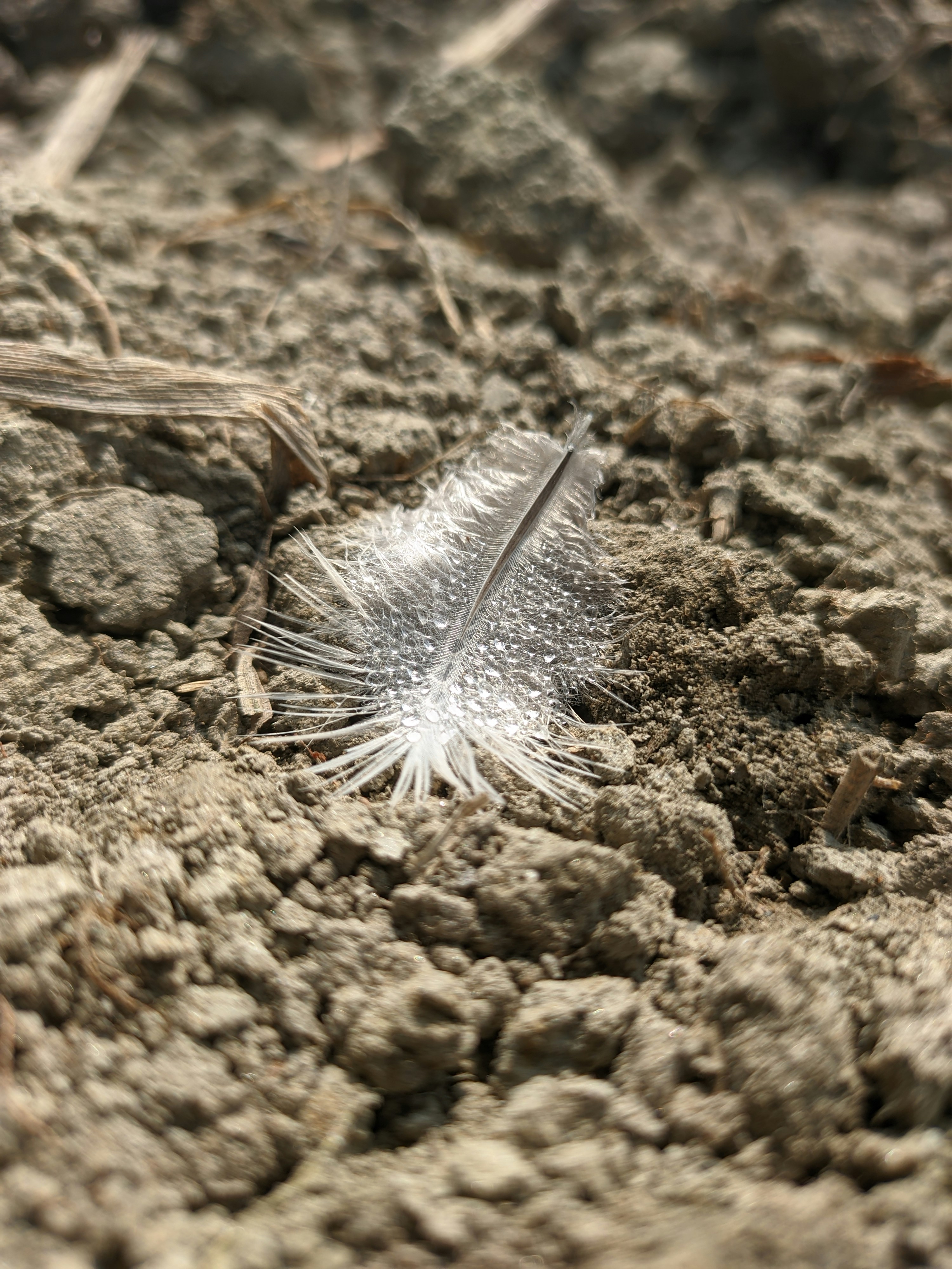 Photo by shotbywoliul