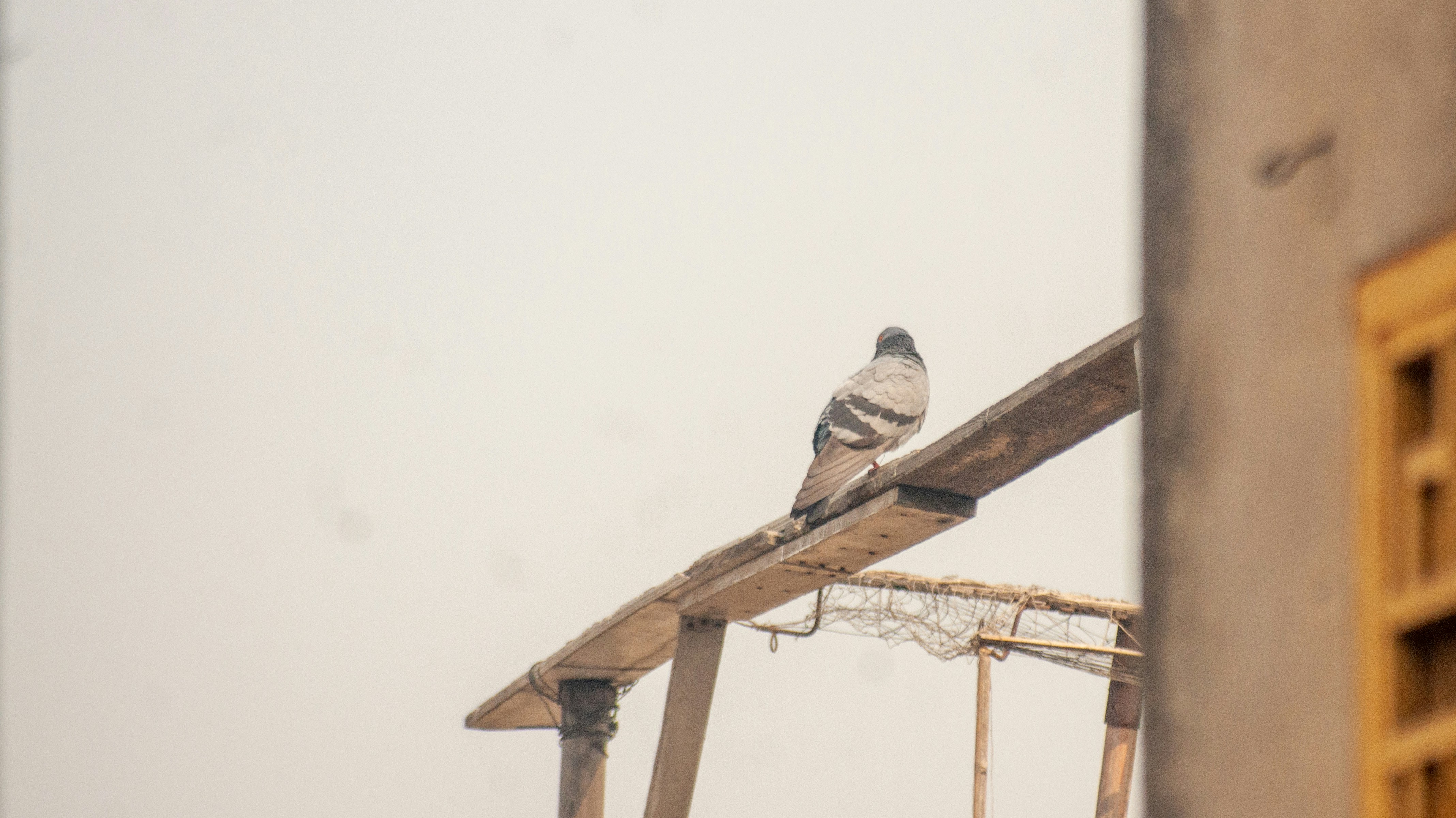 Photo by kumail_art