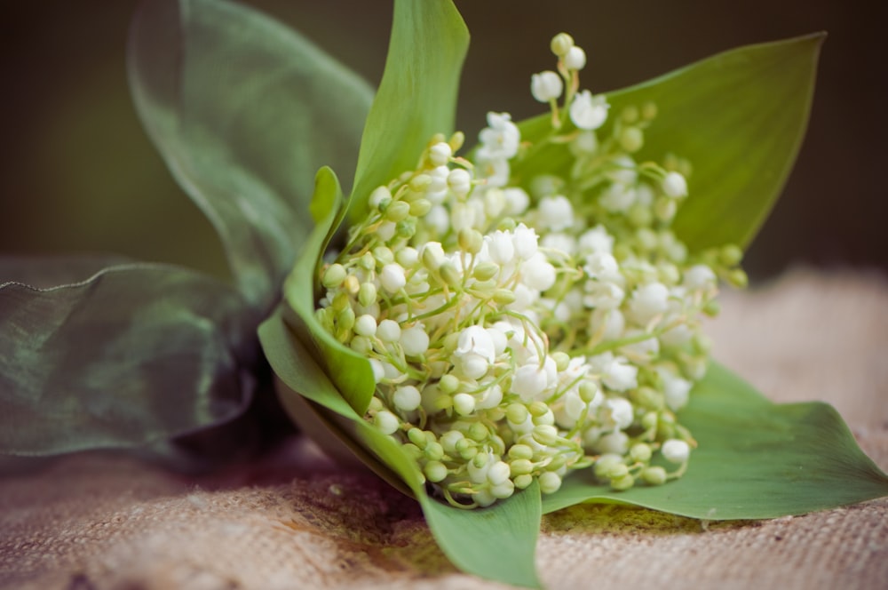 a close up of a bunch of flowers on a cloth