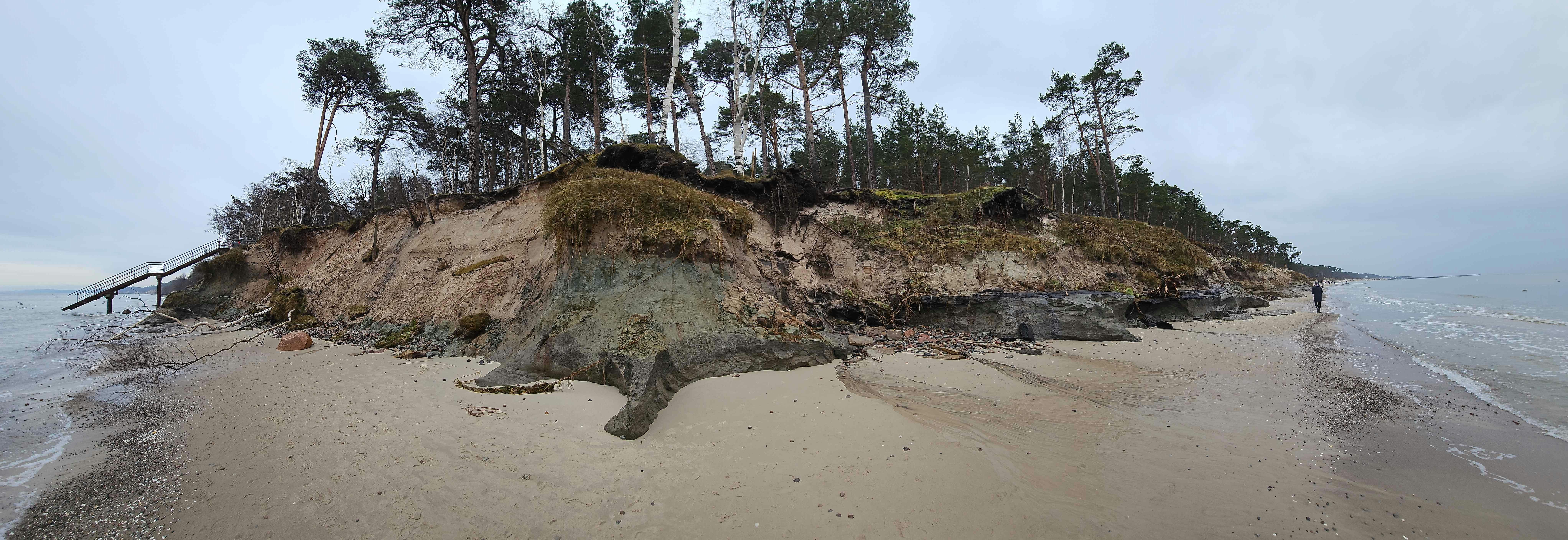 a small island on a beach with trees growing out of it