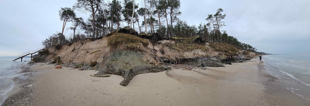 a small island on a beach with trees growing out of it