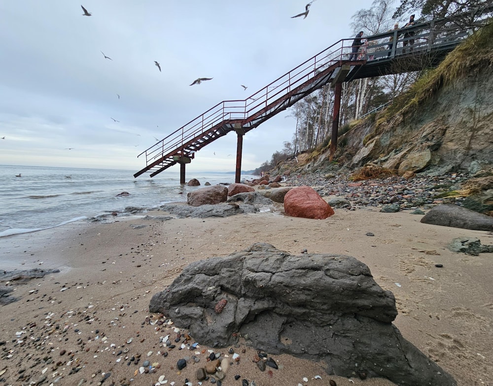 une plage avec des rochers et des mouettes volant au-dessus de l’eau