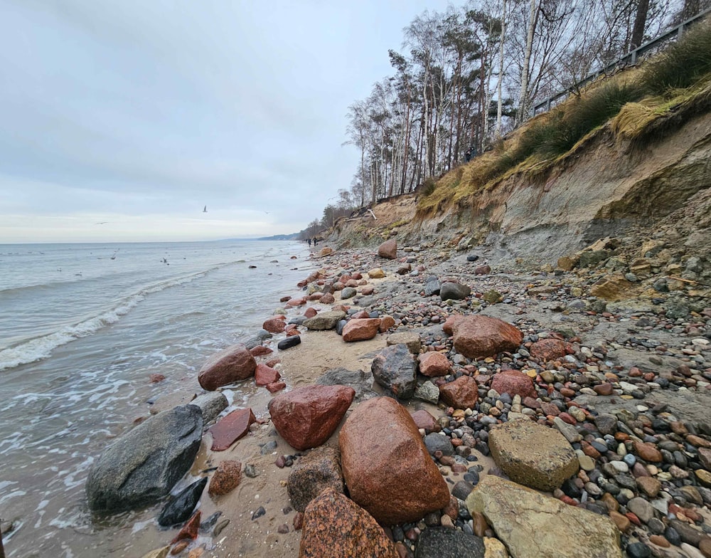 Una spiaggia rocciosa con molte rocce e acqua