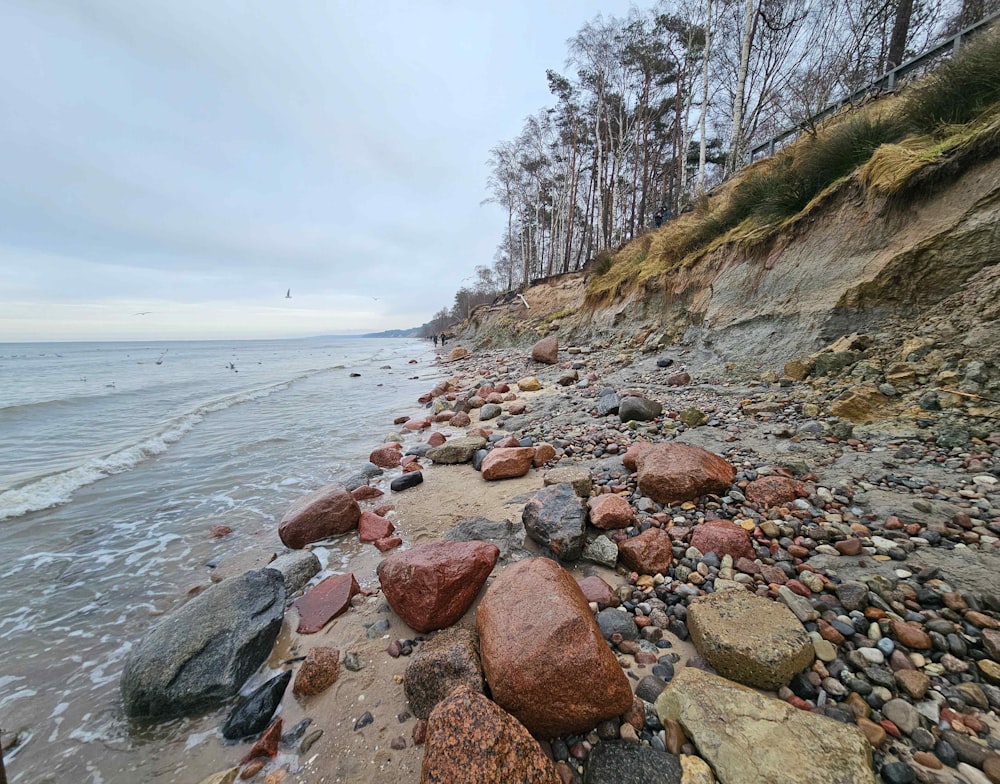 a rocky beach with lots of rocks and water