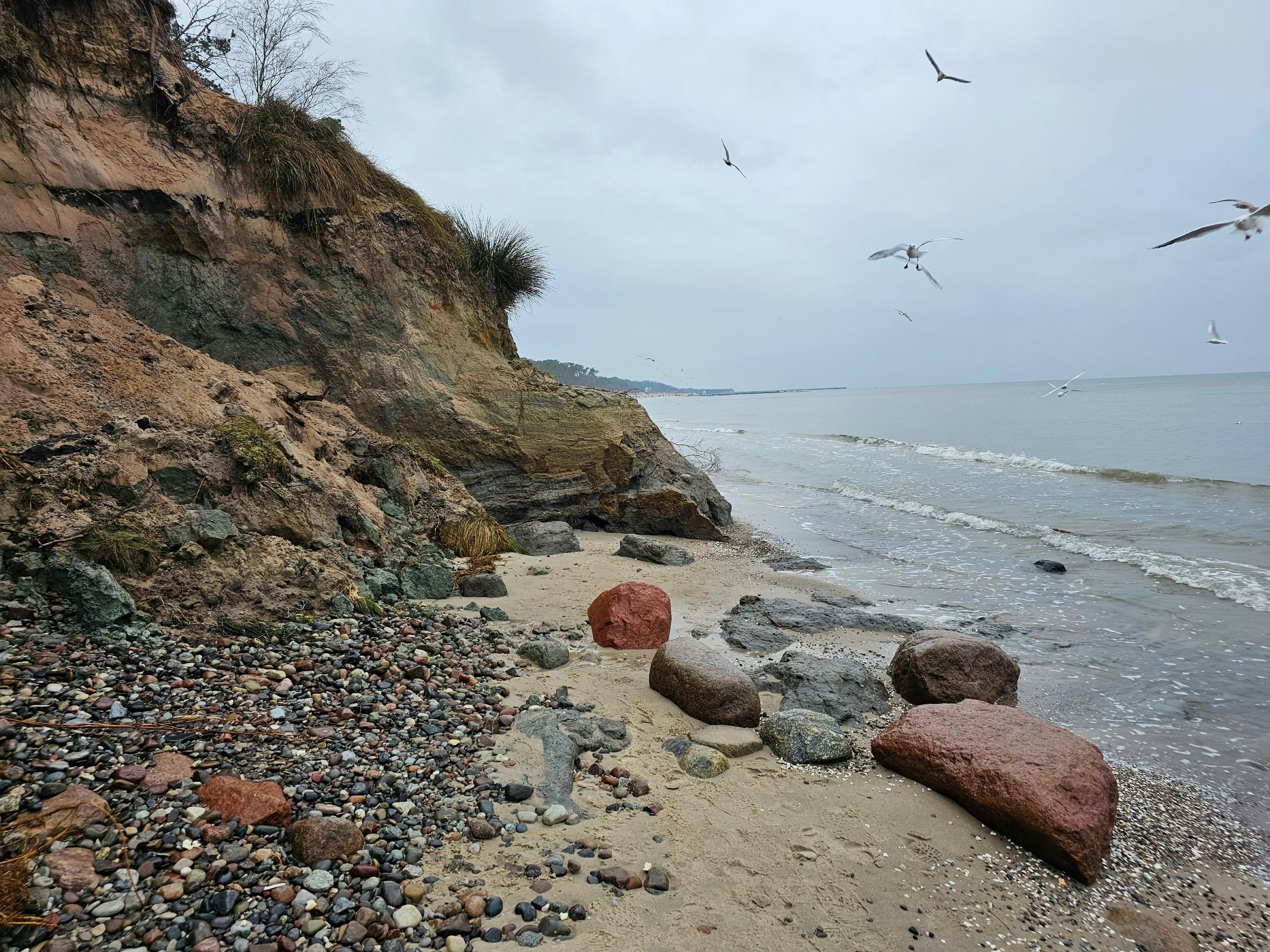 a rocky beach with seagulls flying over it