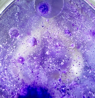 a purple substance is in a glass bowl