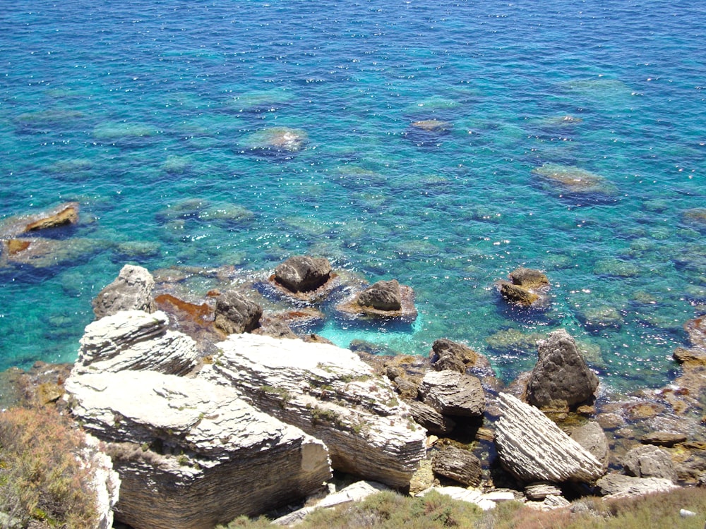 a body of water surrounded by rocks and grass