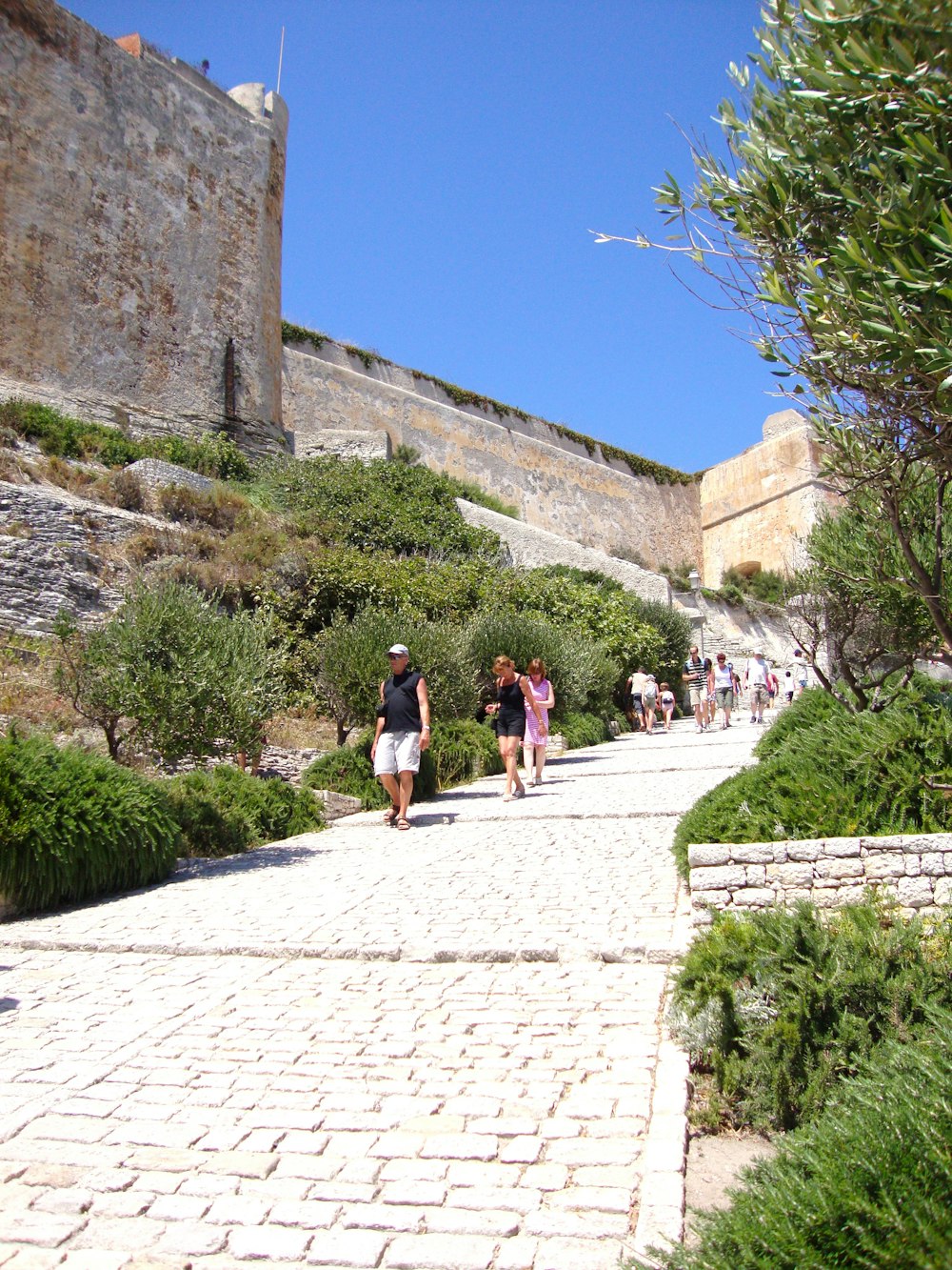 a group of people walking down a cobblestone road