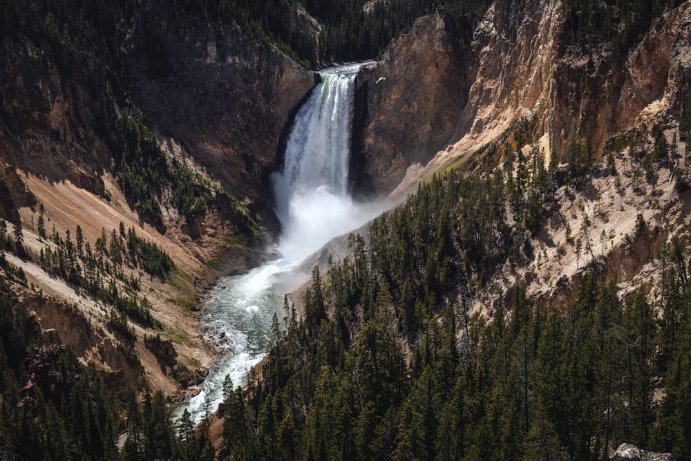 Une grande cascade au milieu d’une forêt