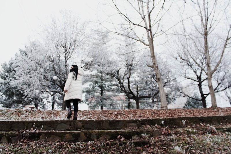WinterWalks