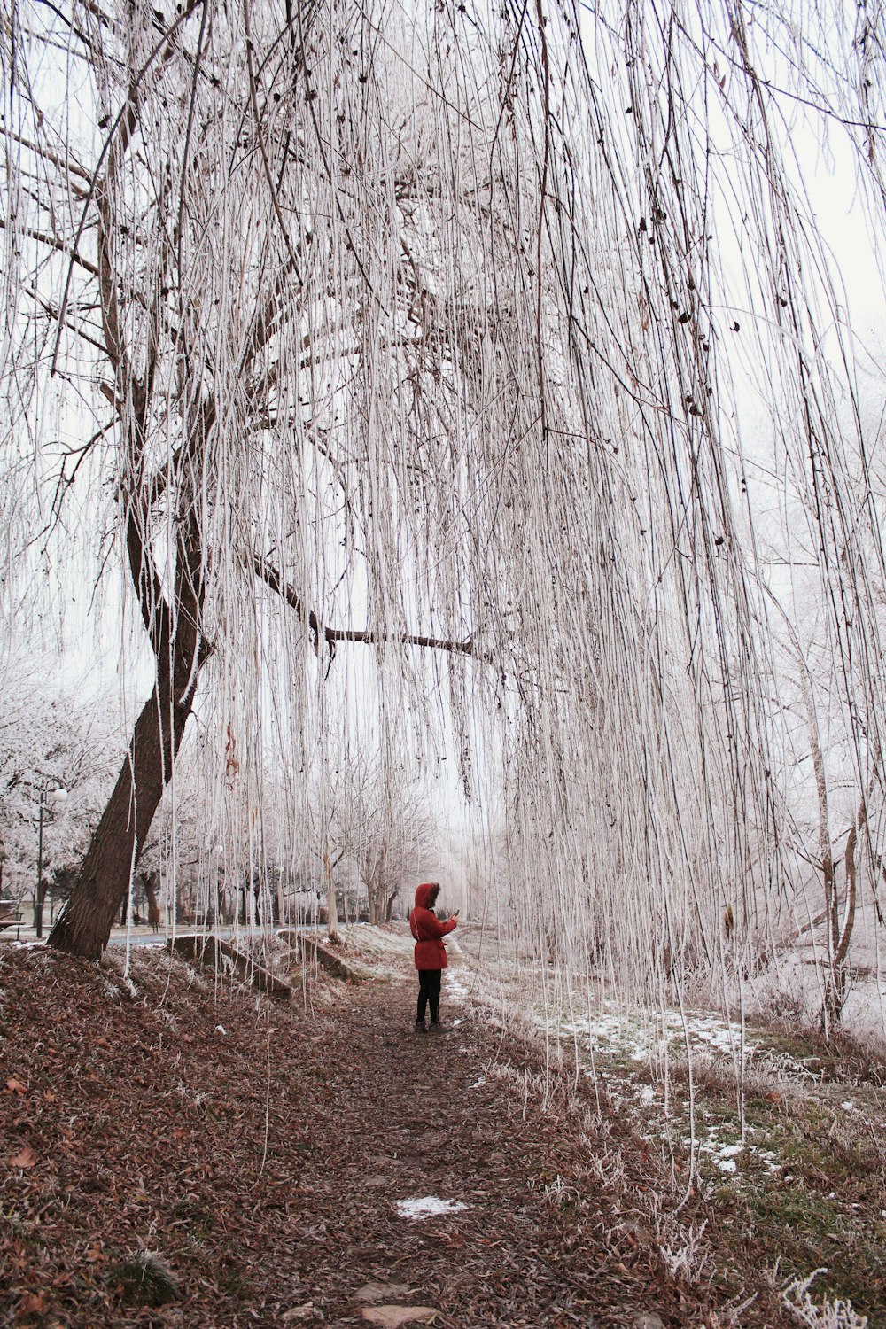 a person in a red jacket standing under a tree