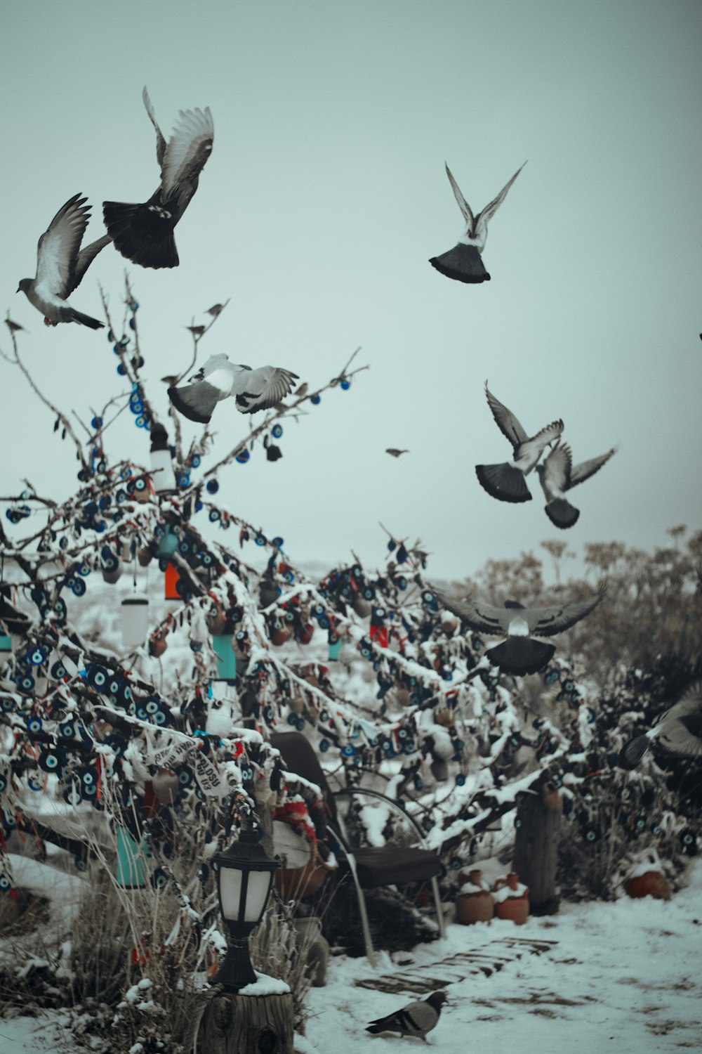 a flock of birds flying over a snow covered field