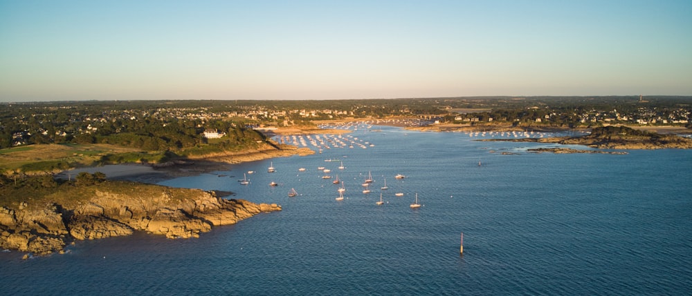 a body of water filled with lots of boats