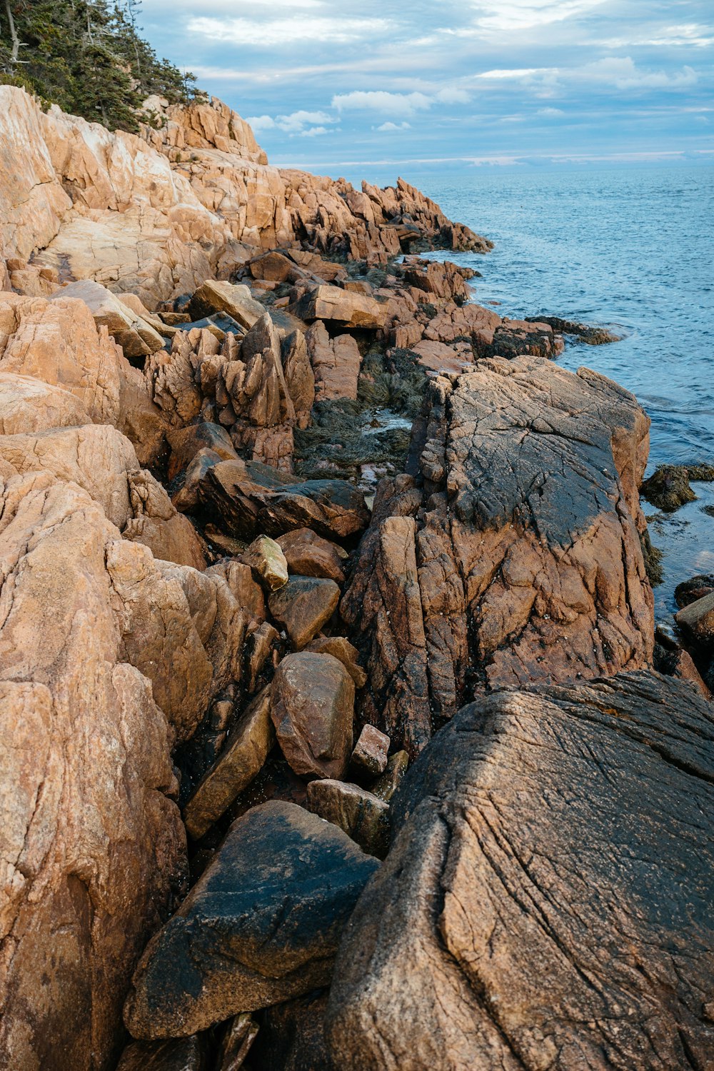 a rocky shore line with water and trees