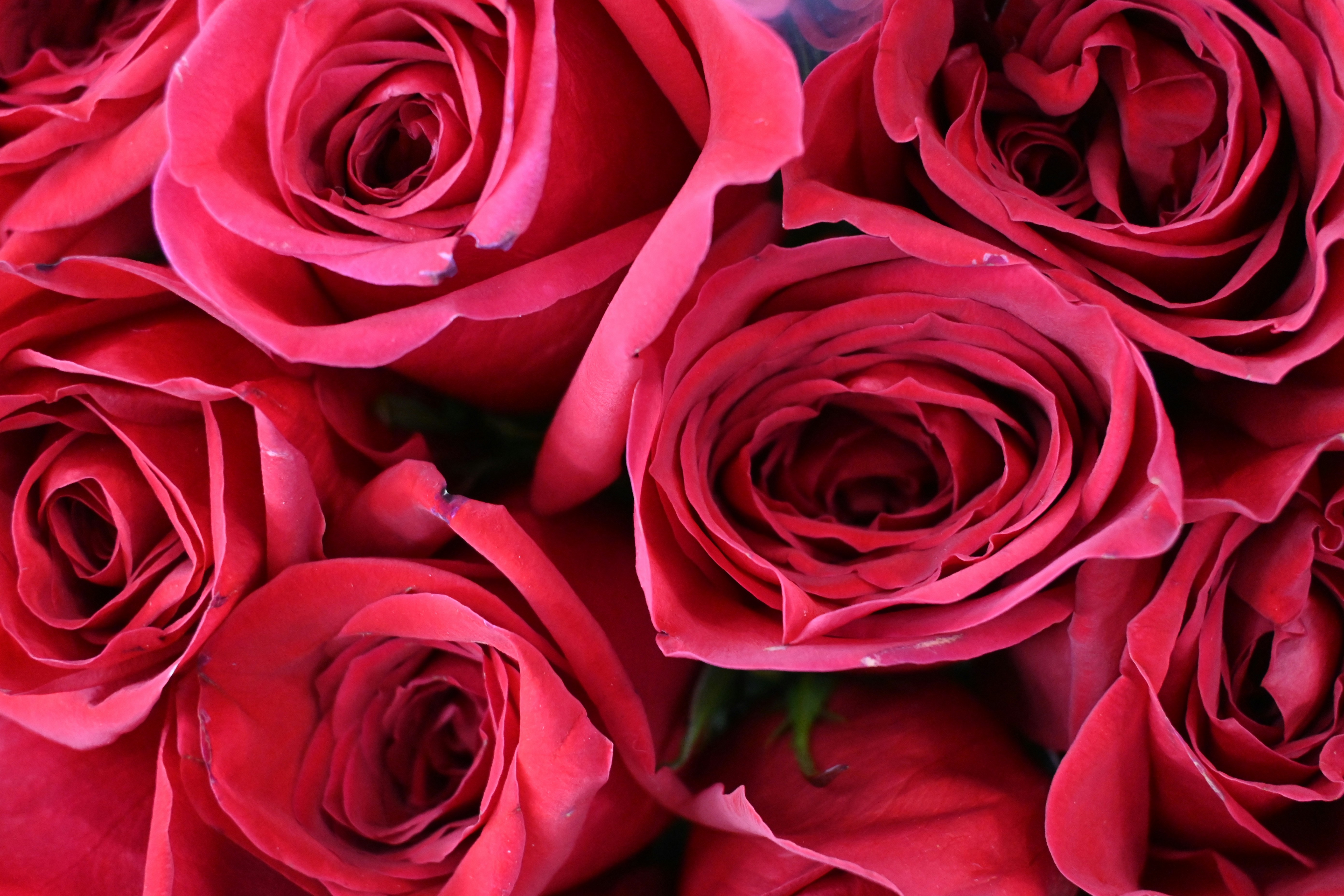 Photo by karolinabobek