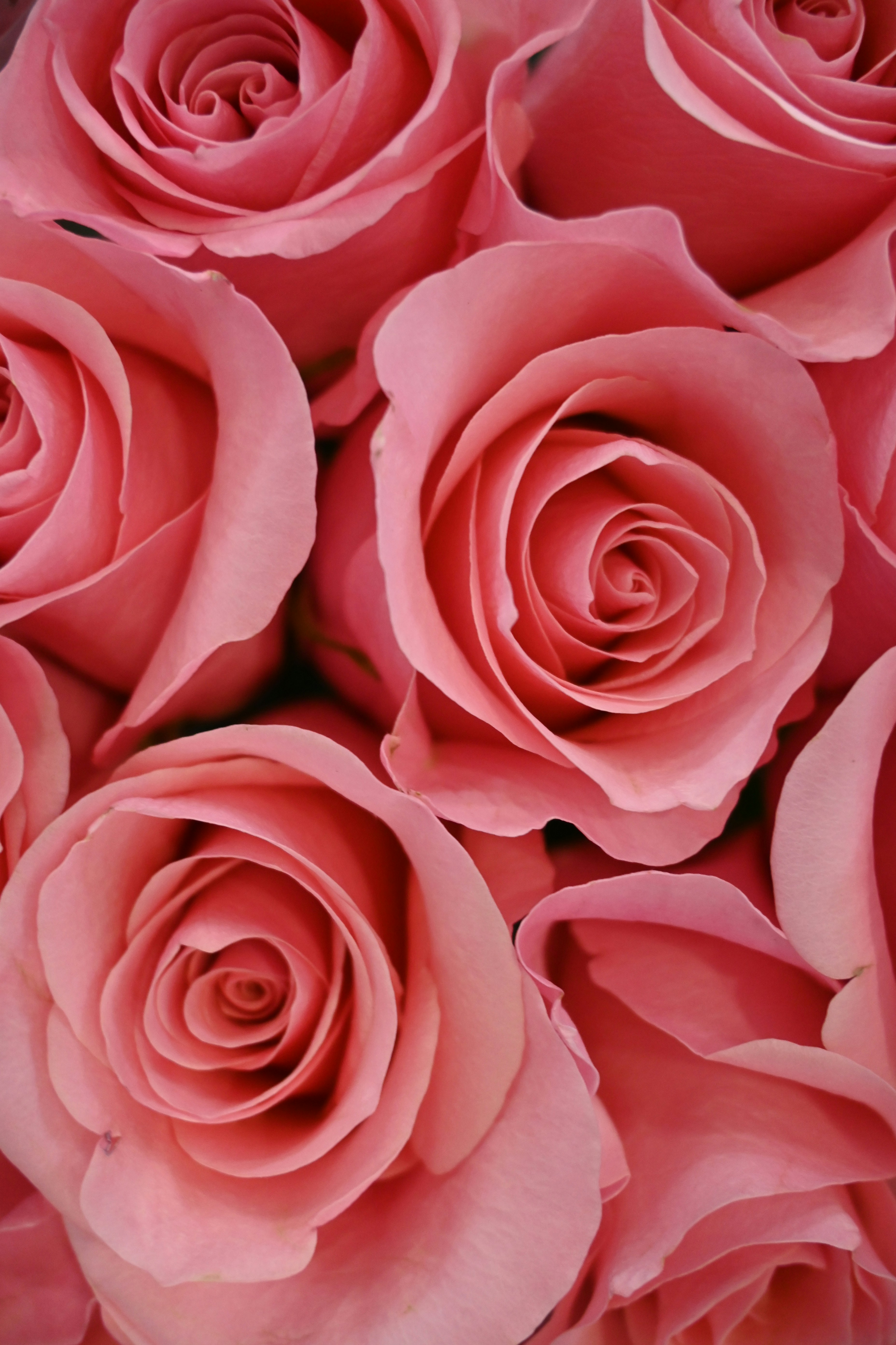 Photo by karolinabobek