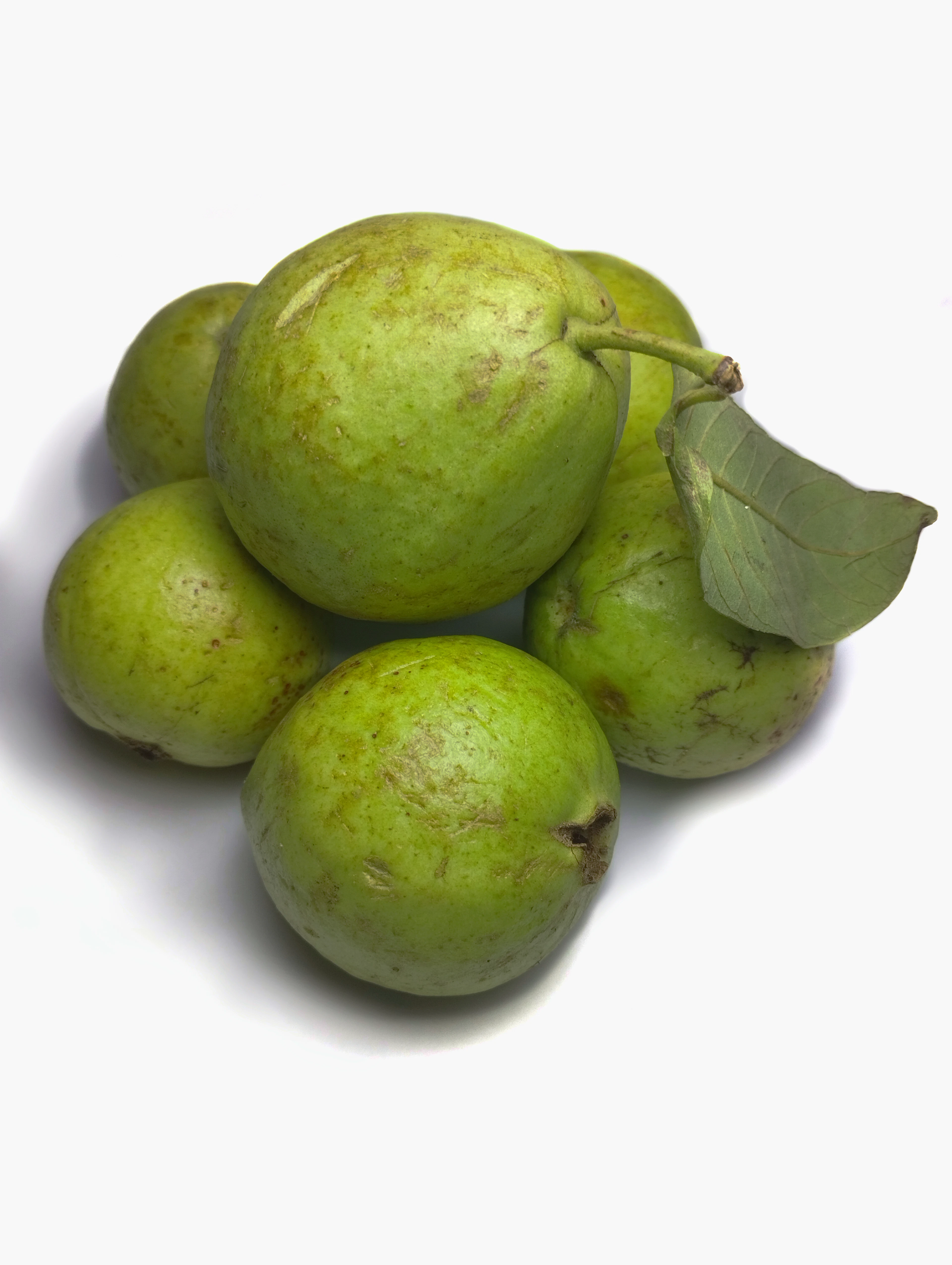 Amla powder
