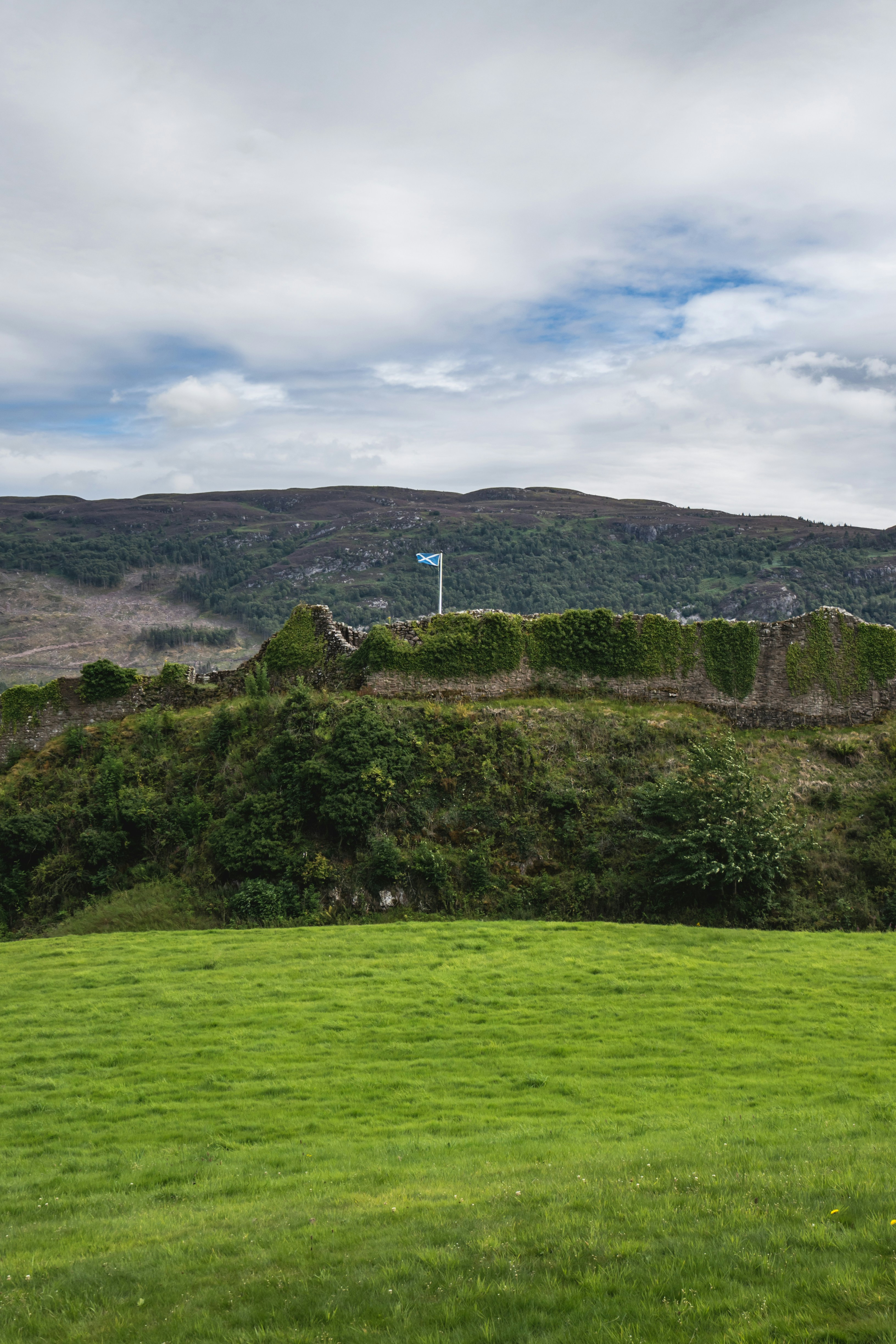 a grassy field with a hill in the background