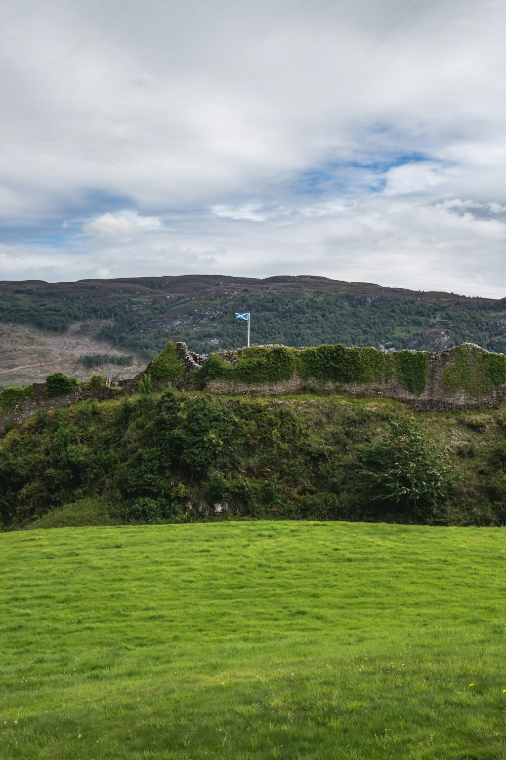 a grassy field with a hill in the background