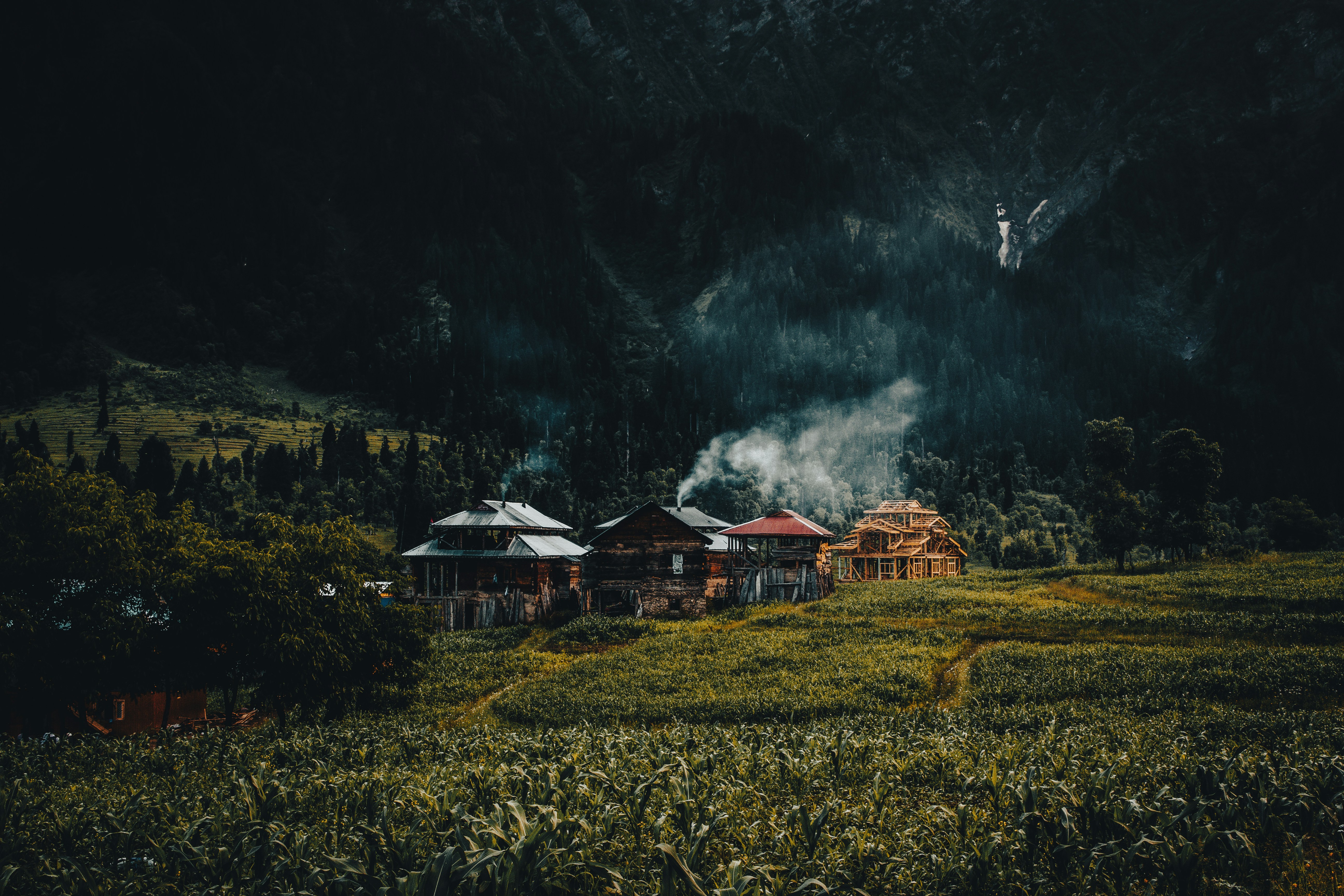 a house in the middle of a lush green field