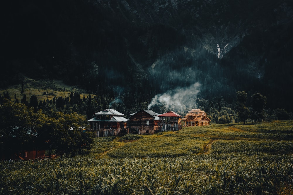 a house in the middle of a lush green field