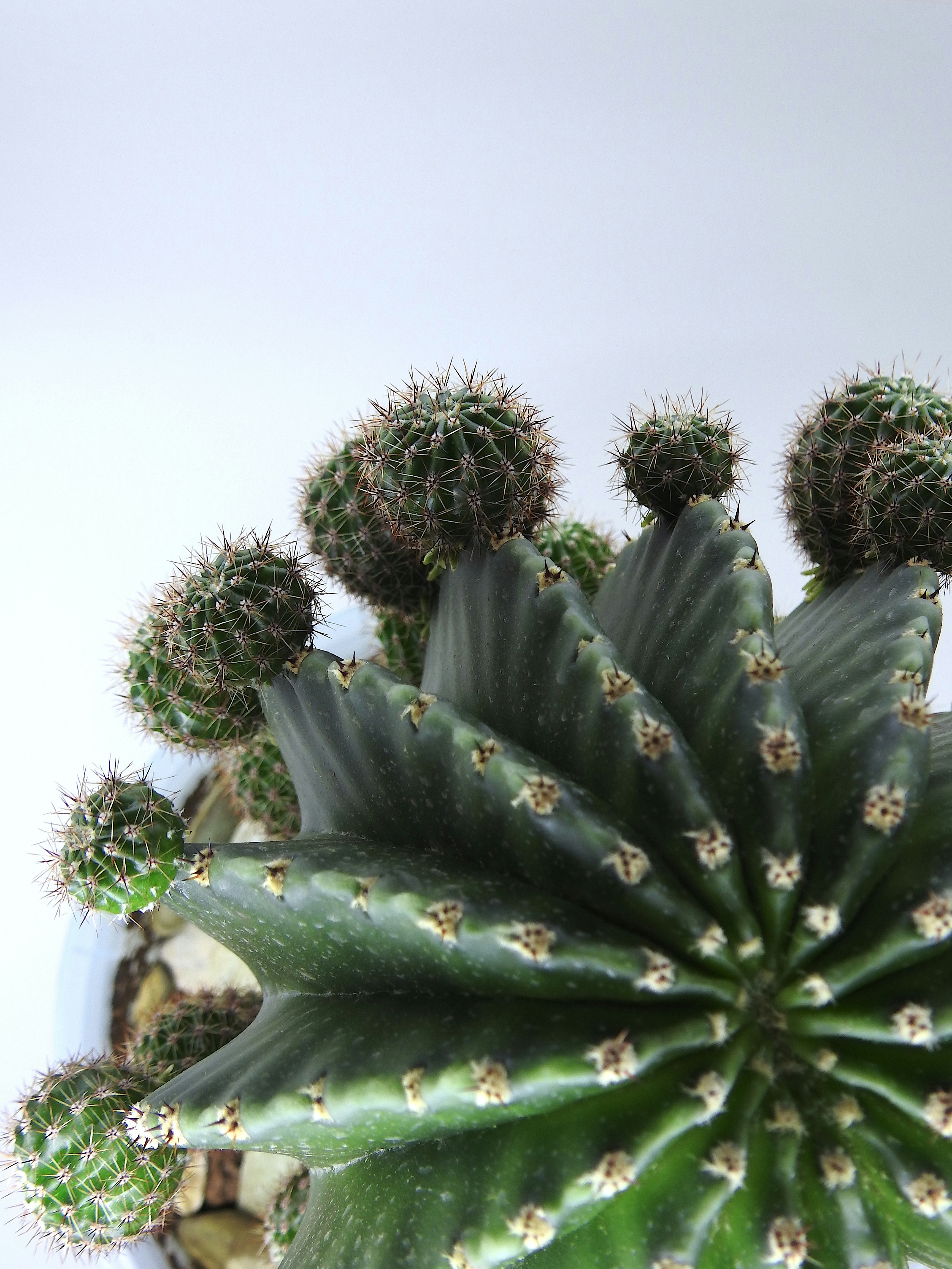 Photo by rafayelyeranosyan