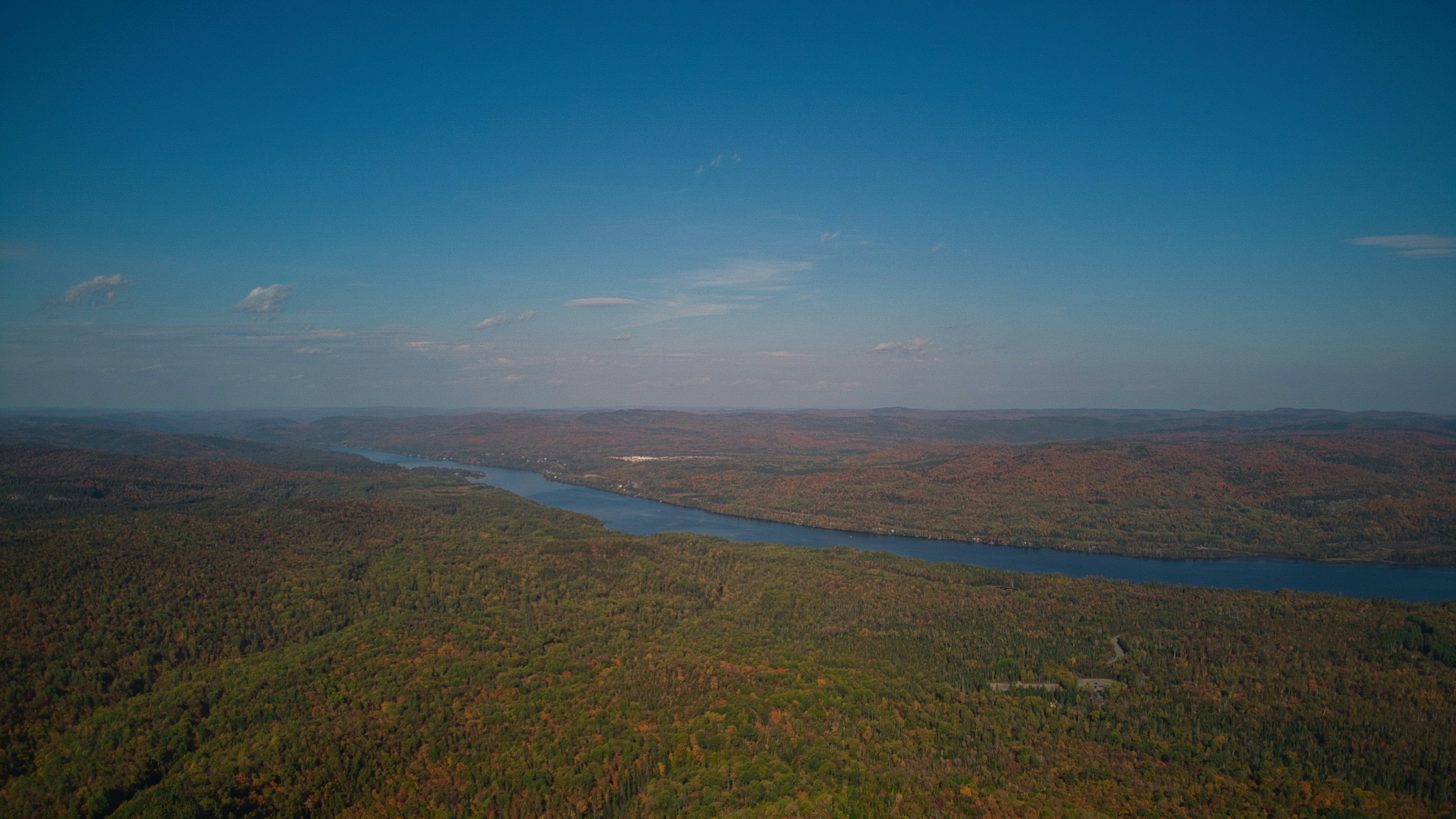 a river running through a lush green forest