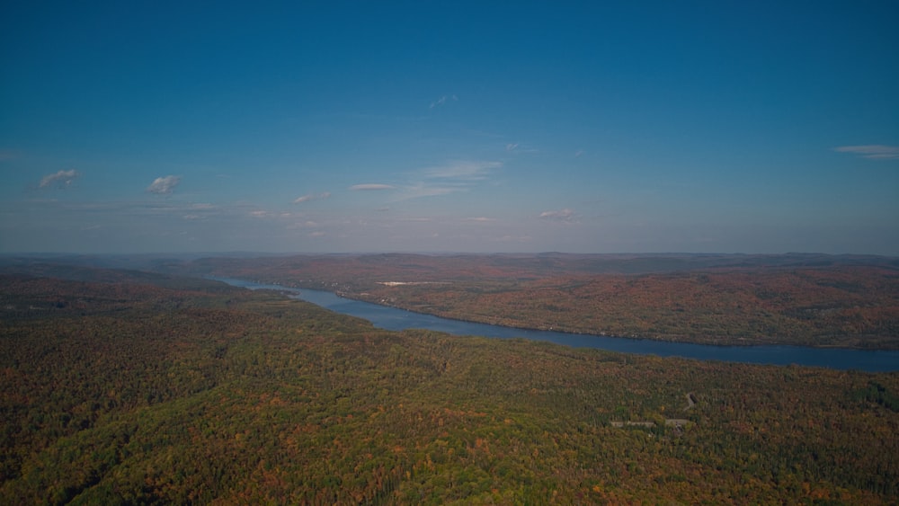 une rivière qui coule à travers une forêt verdoyante