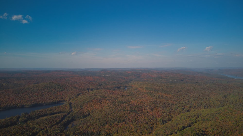 an aerial view of a forest with a river running through it