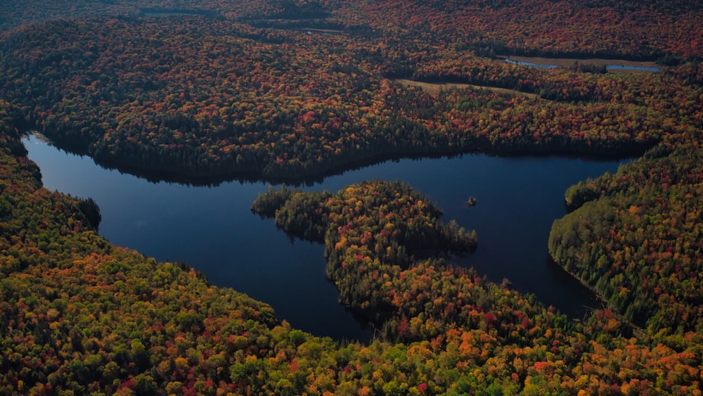 une vue aérienne d’un lac entouré d’arbres