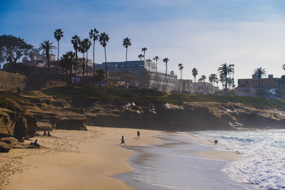 a couple of people walking along a beach next to the ocean