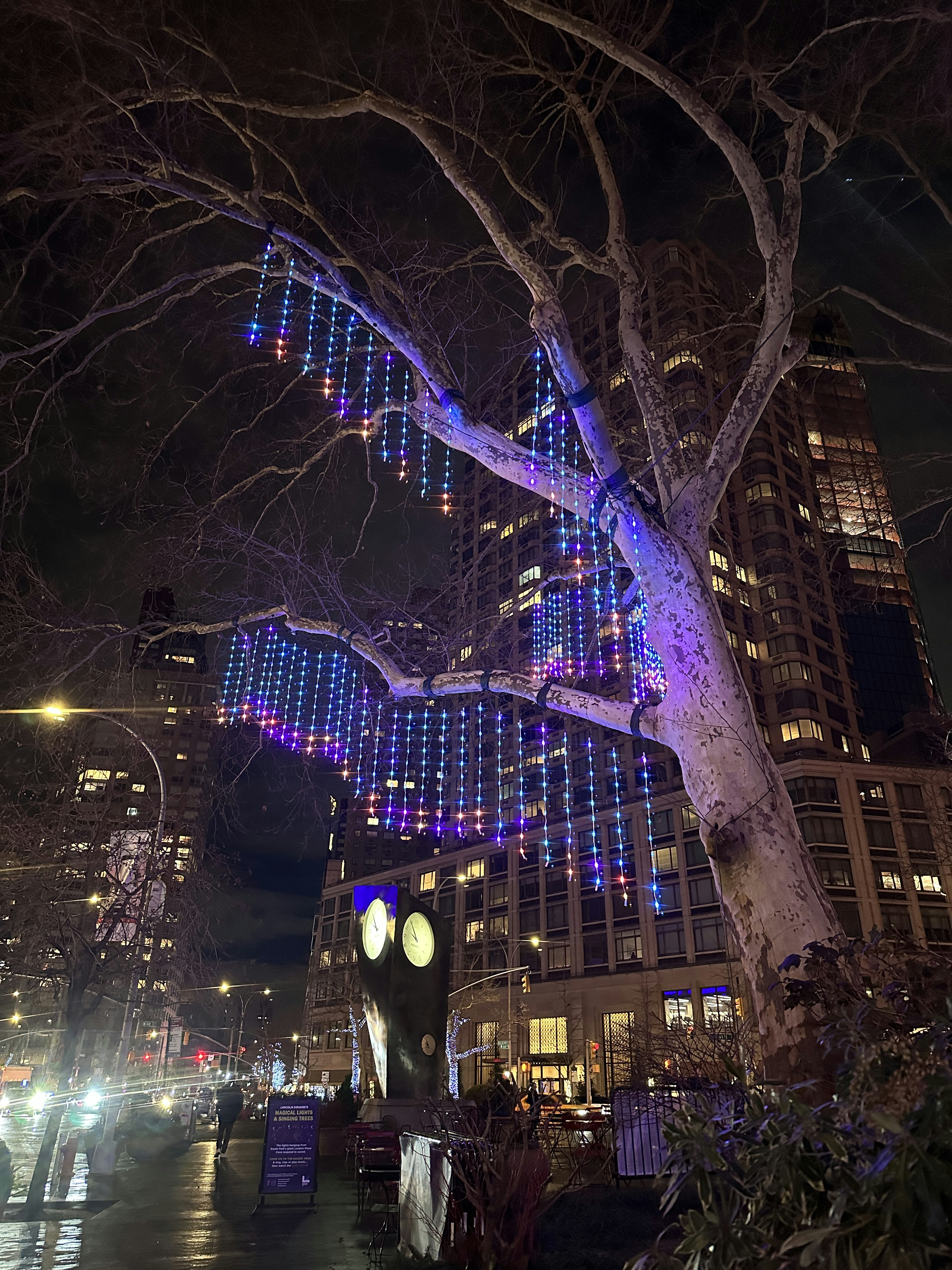 a tree with lights hanging from it's branches